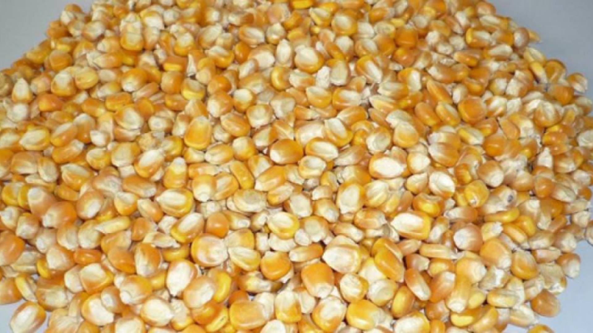 ارشيفية