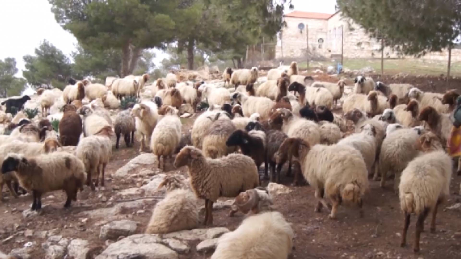 صورة من الفيديو