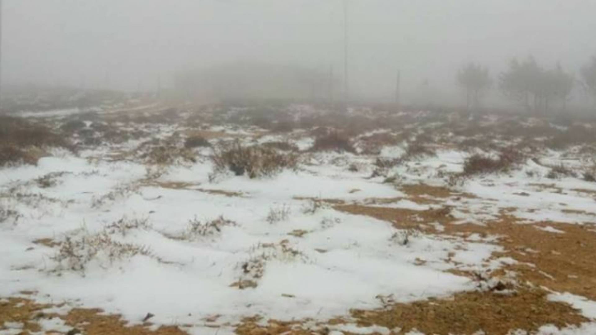 الصورة أرشيفية