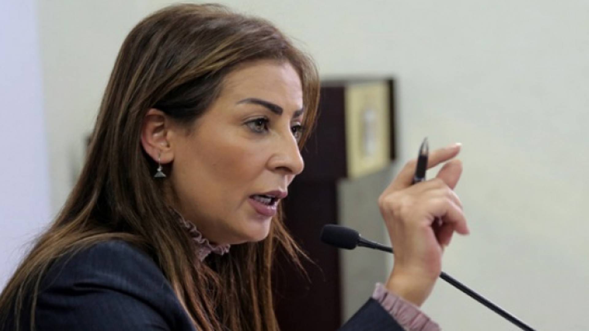 وزيرة الإعلام جمانة غنيمات