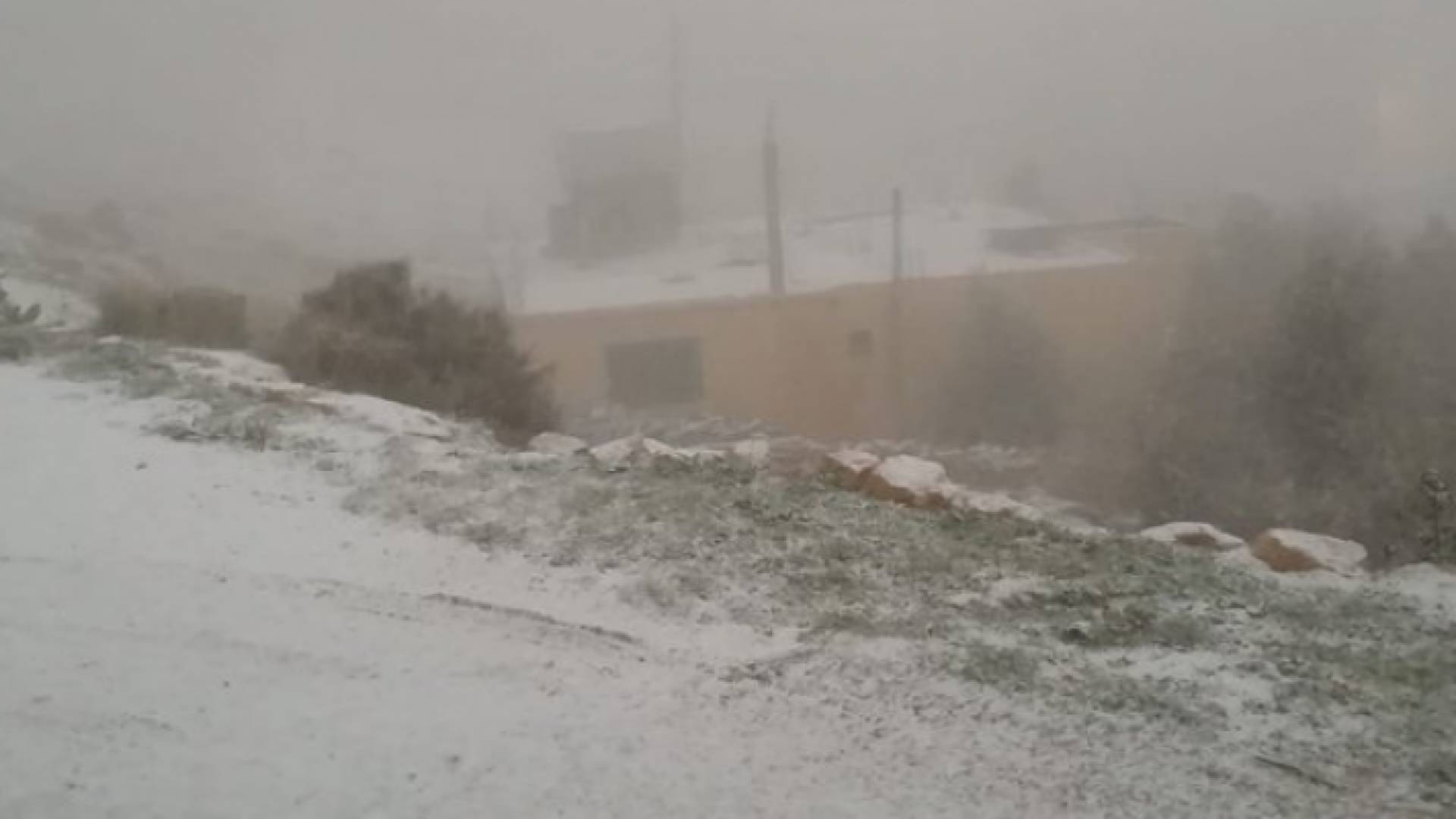 تعليق الدراسة في لواء البتراء بسبب الظروف الجوية وتساقط الثلوج