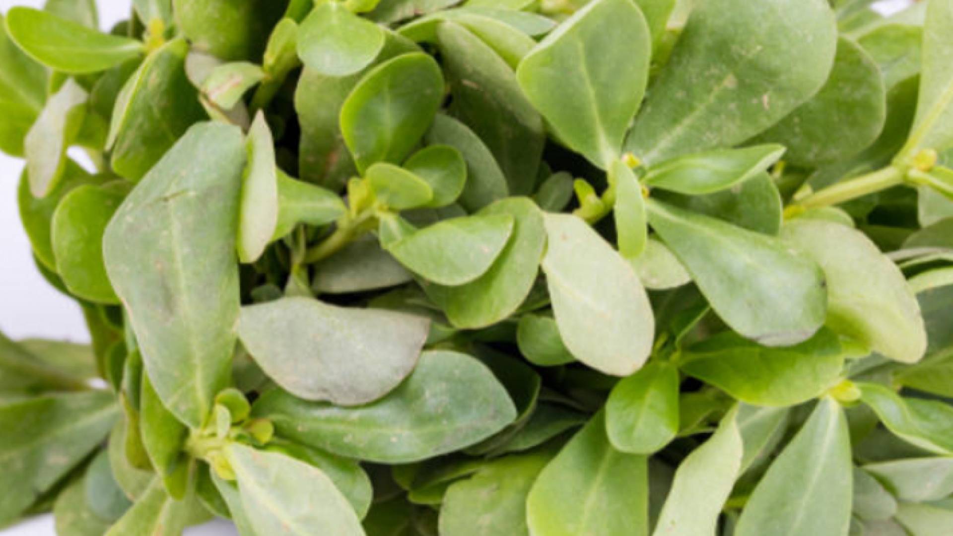 مستحضرات التجميل لا تكفي للحفاظ على البشرة