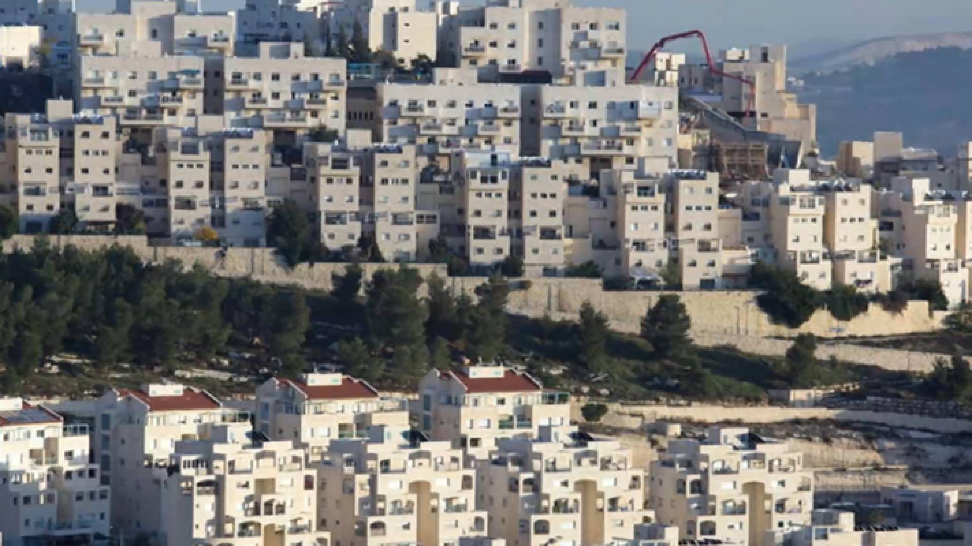 أرشيفية