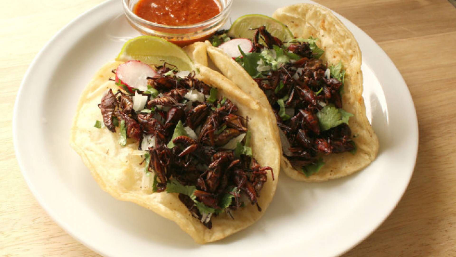 يساعد أكل الجراد في علاج تأخر النمو لدى الأطفال