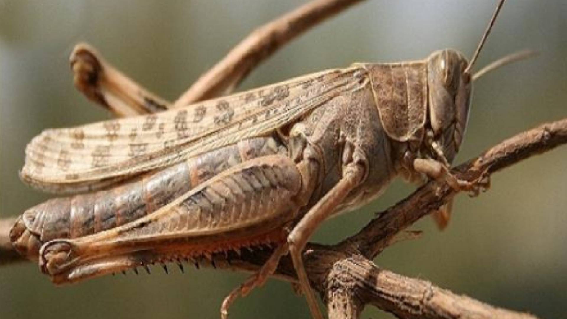 الصورة تعبيرية