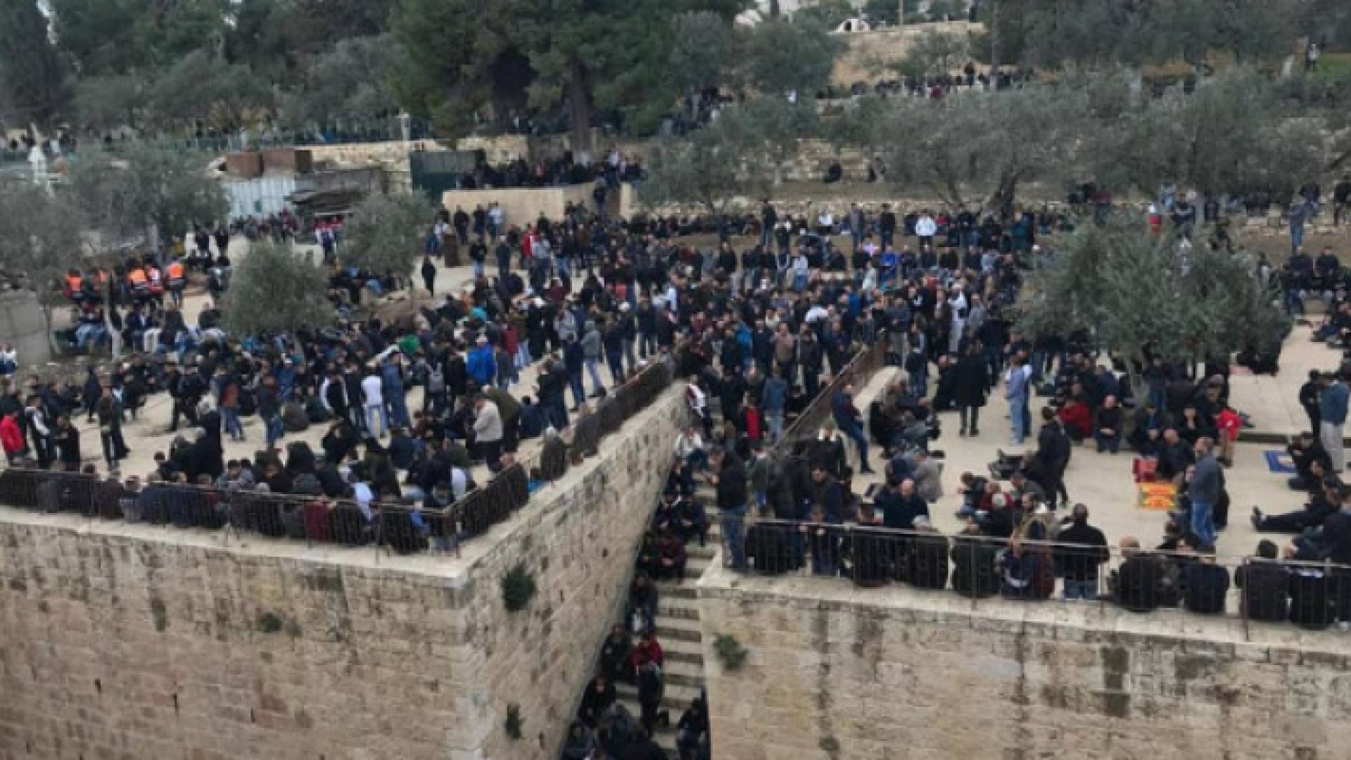 الصملين بعد فتح باب الرحمة