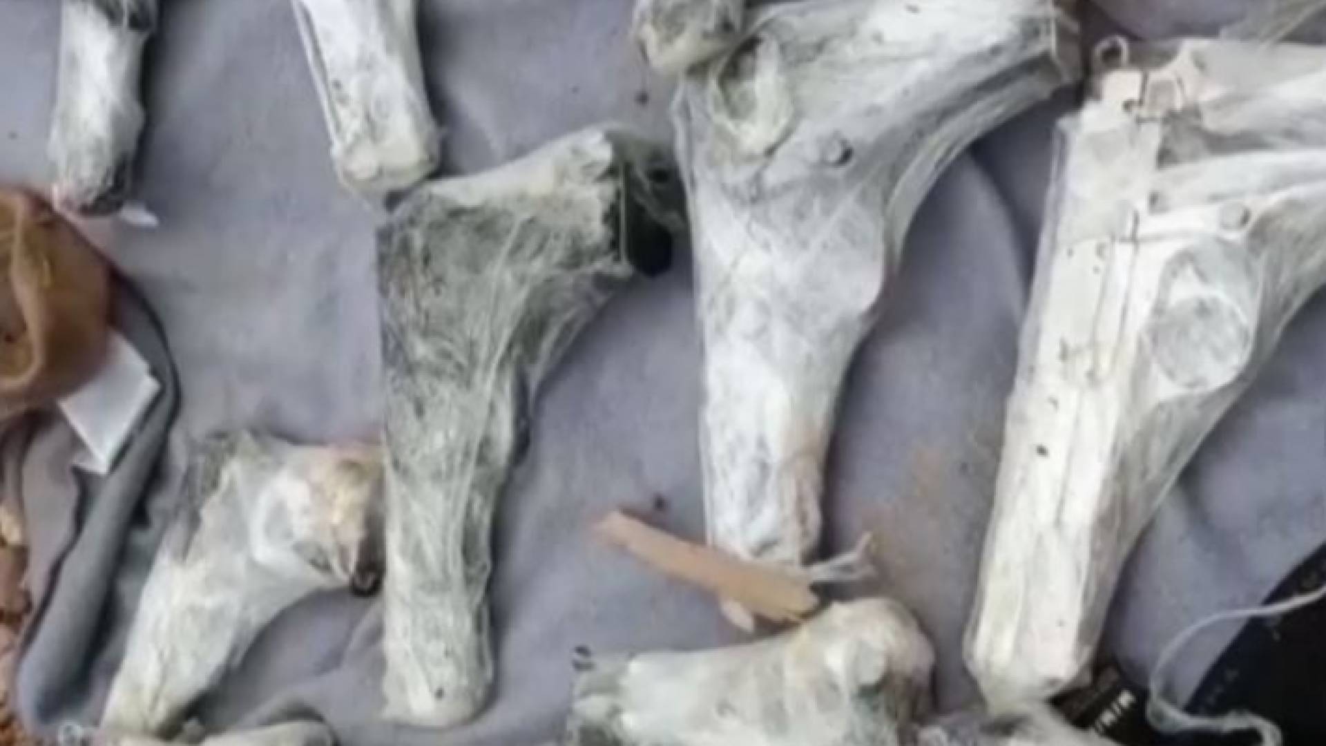 مسدسات ادعى الاحتلال ضبطها