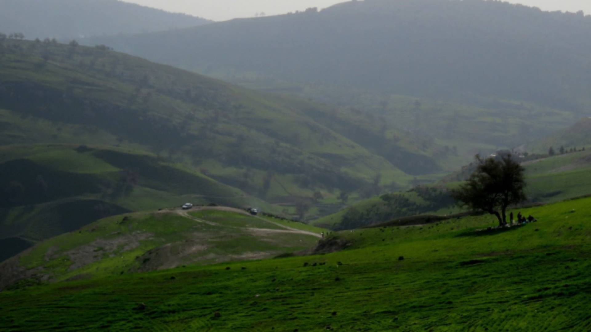 منظر ربيعي من أحد مناطق المملكة - ارشيفية