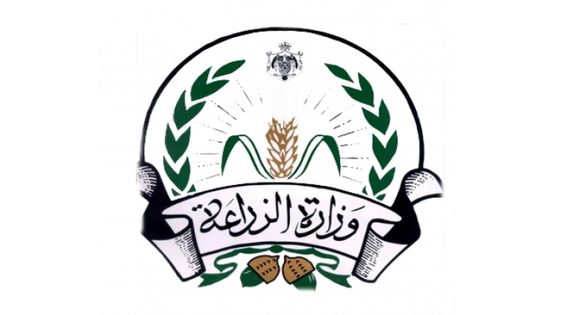 ارشيفية