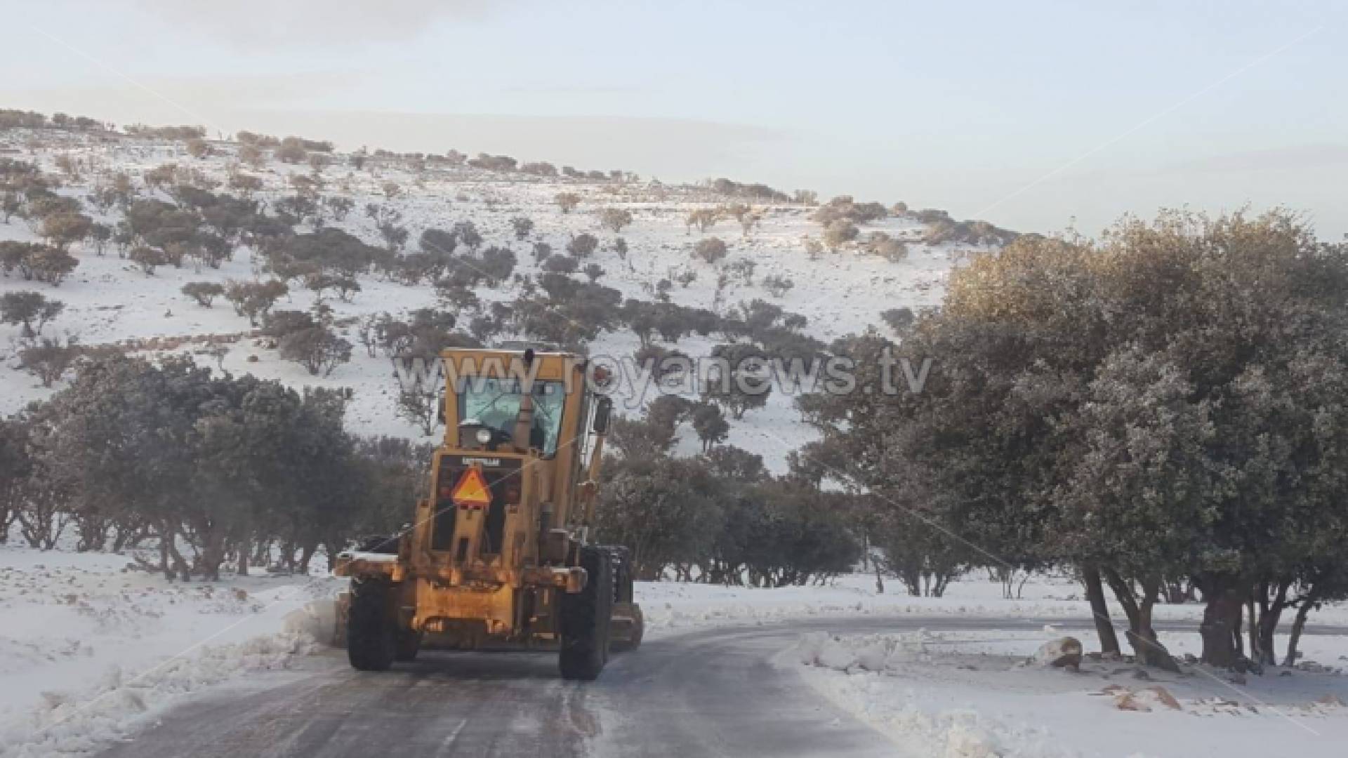 ثلوج 16-1-2019 - ارشبفية