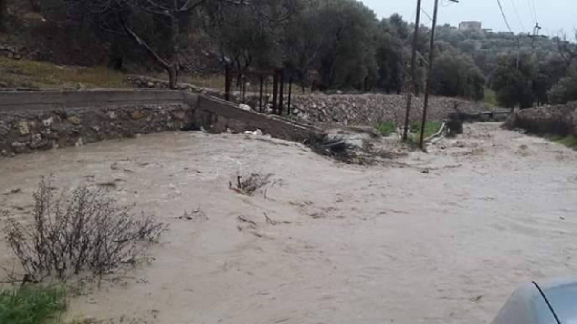 سيل الزرقاء