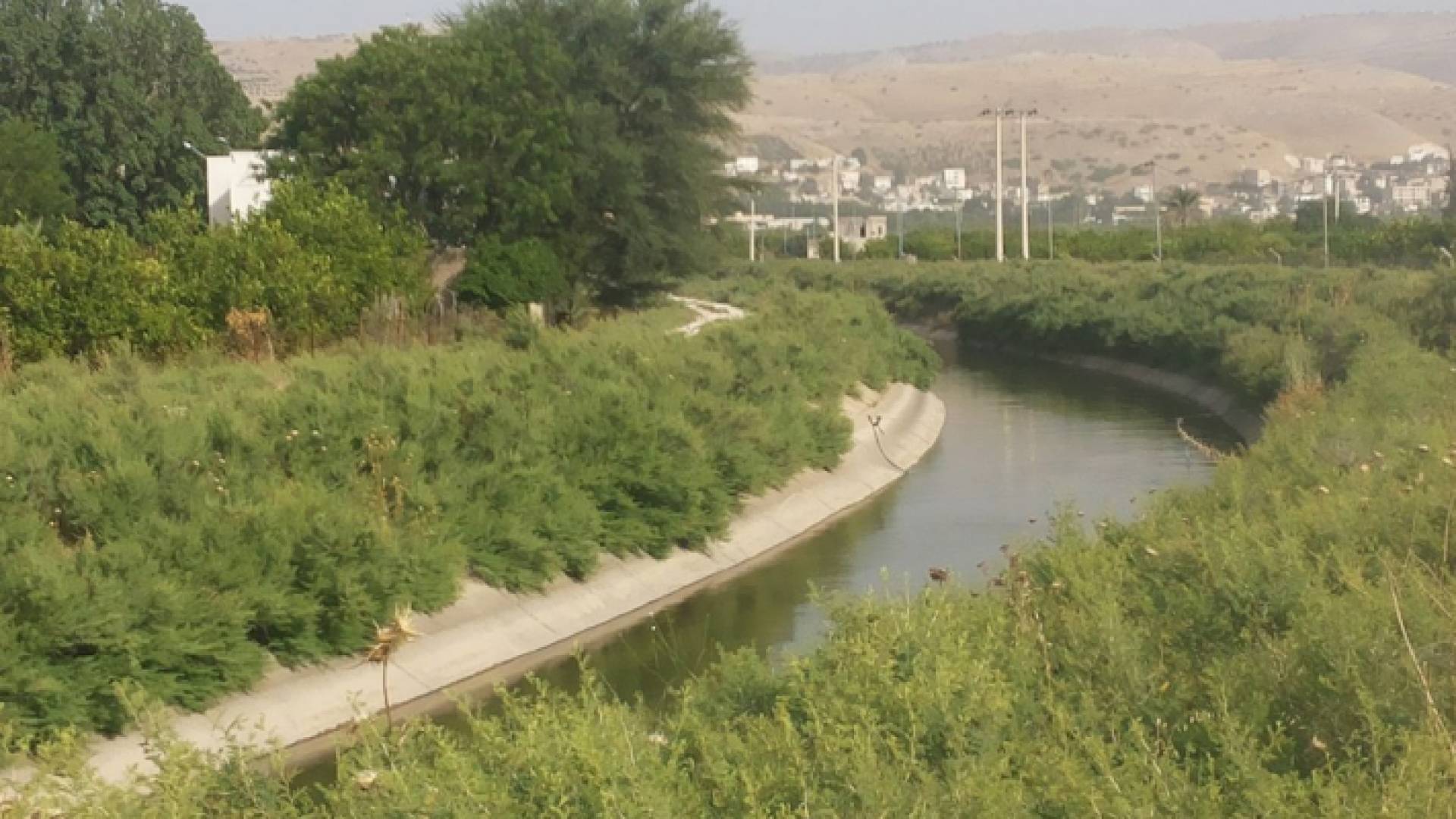 ارشيفية