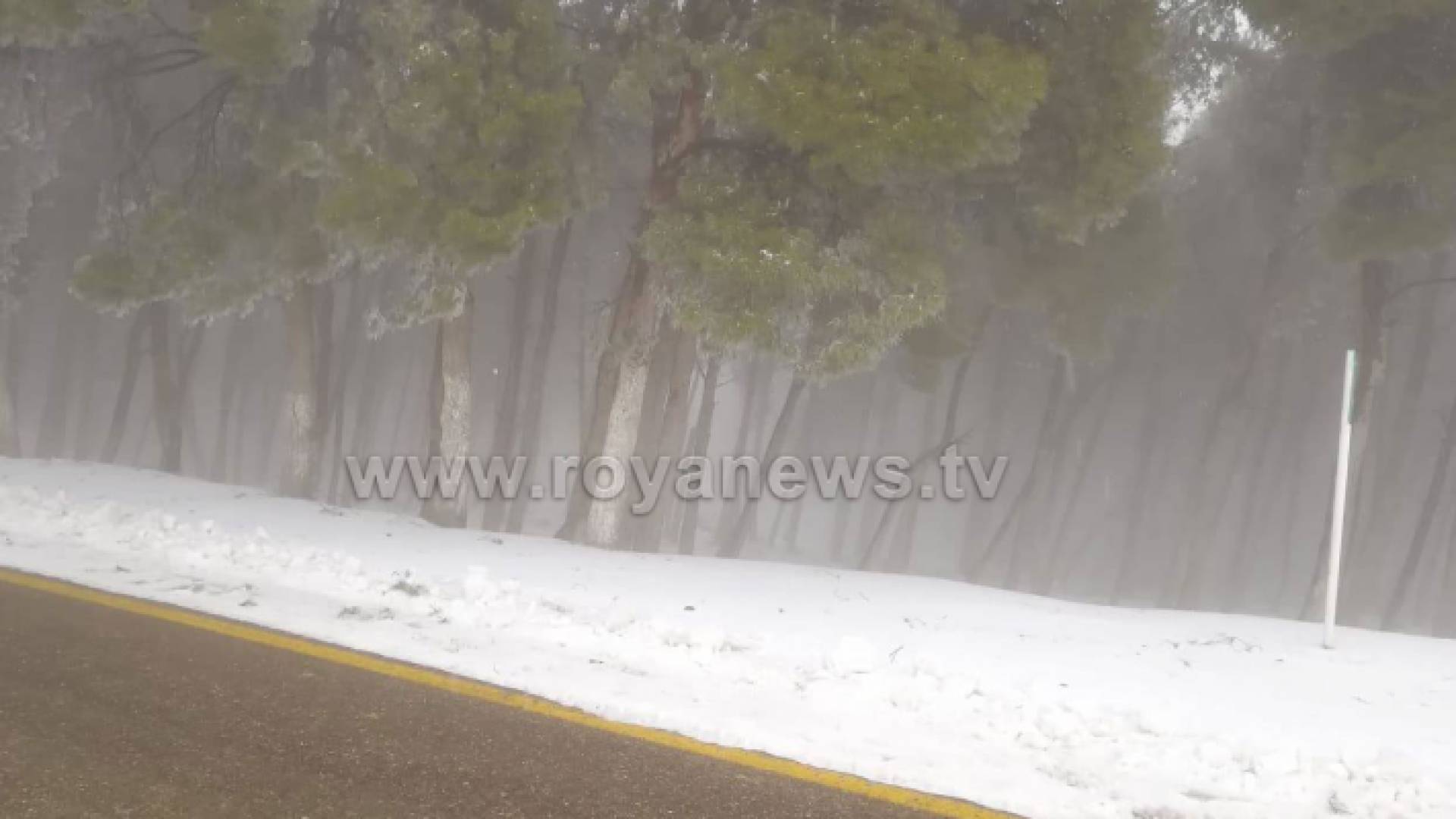 ثلوج الطفيلة صباح الجمعة