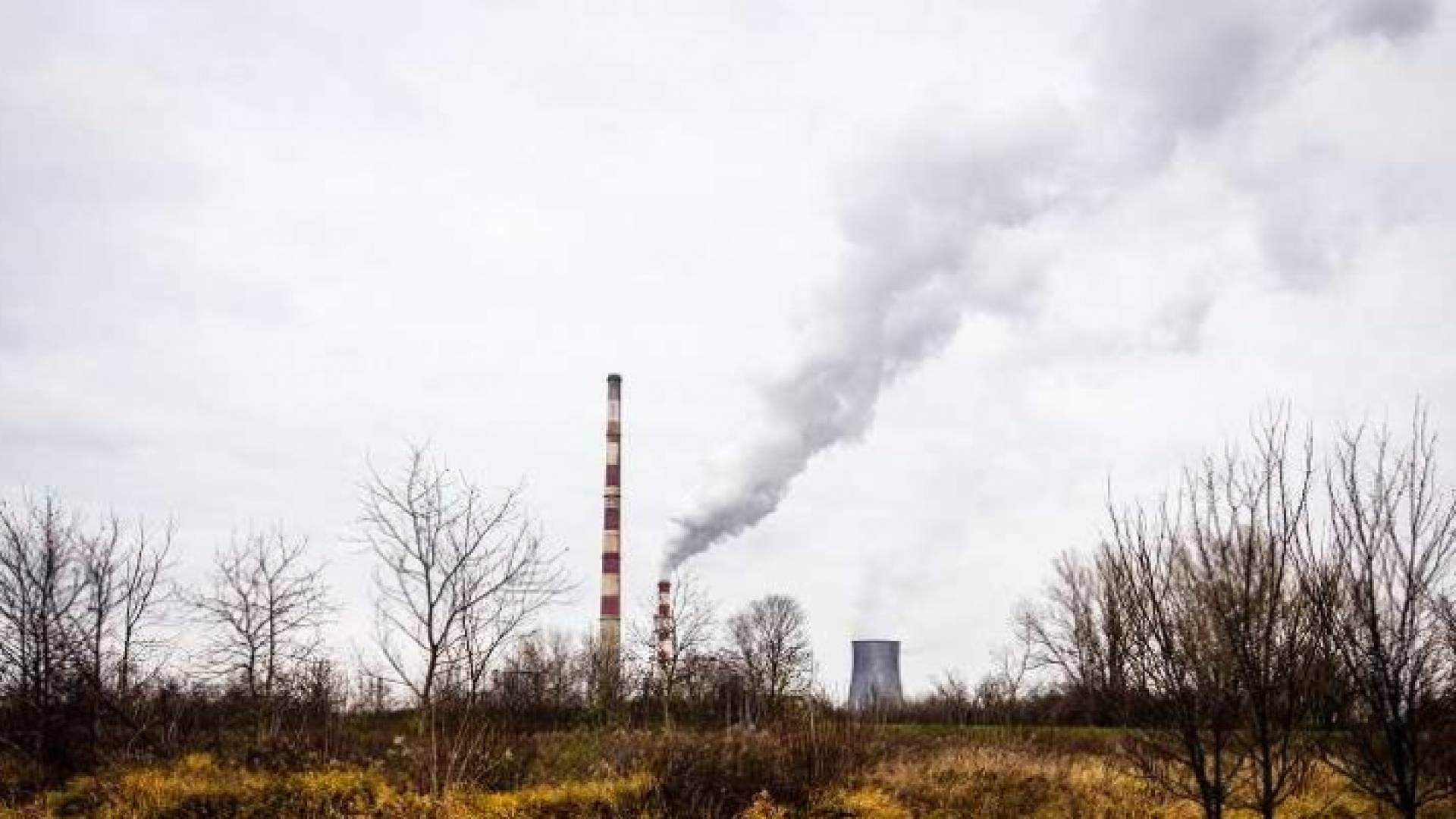 تلوث - ارشيفية