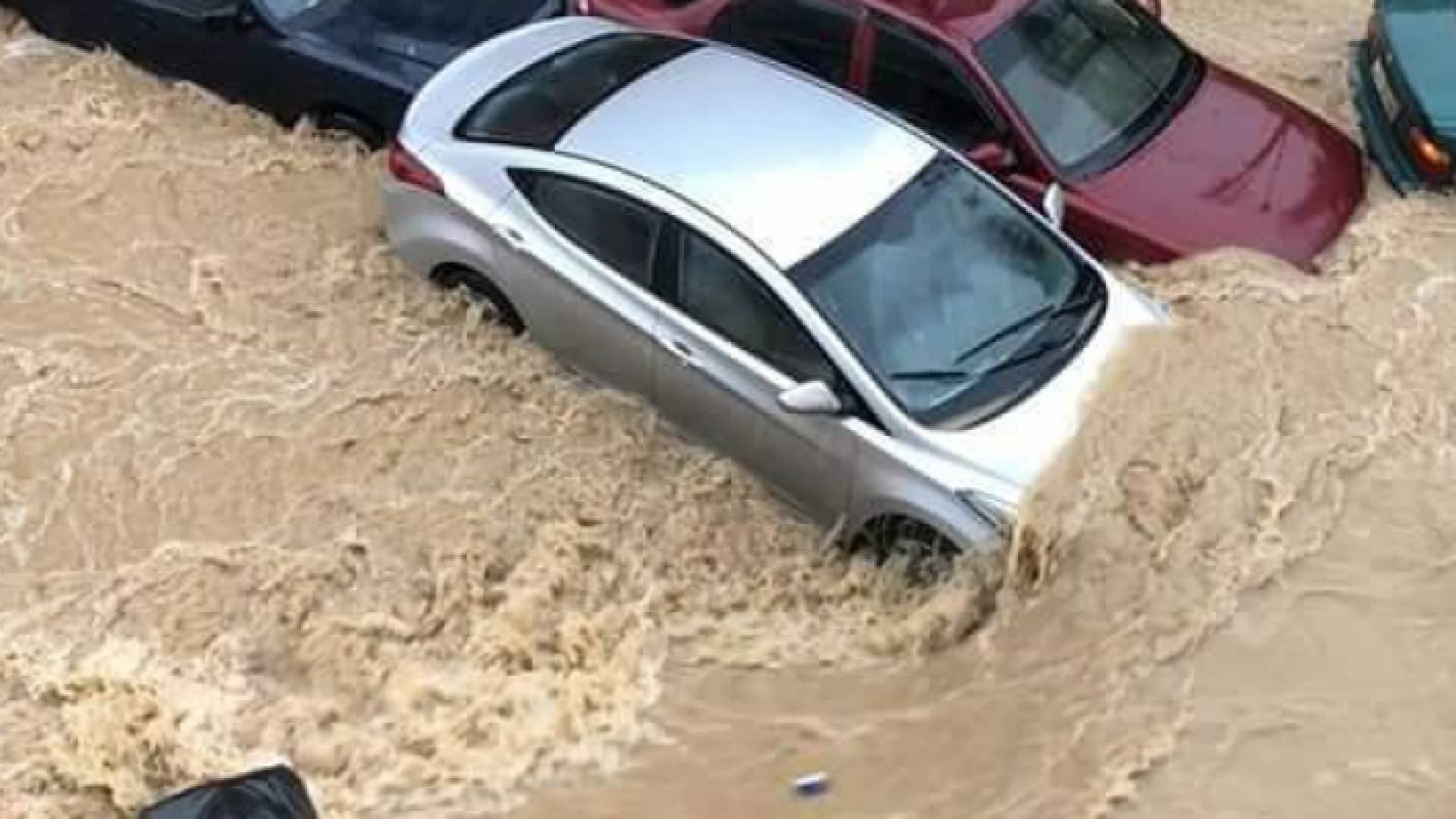 من سيول عمان أمس الخميس