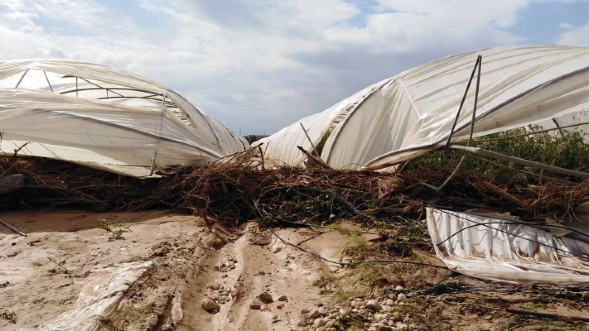 أضرار للمزارع القريبة من سد الملك طلال