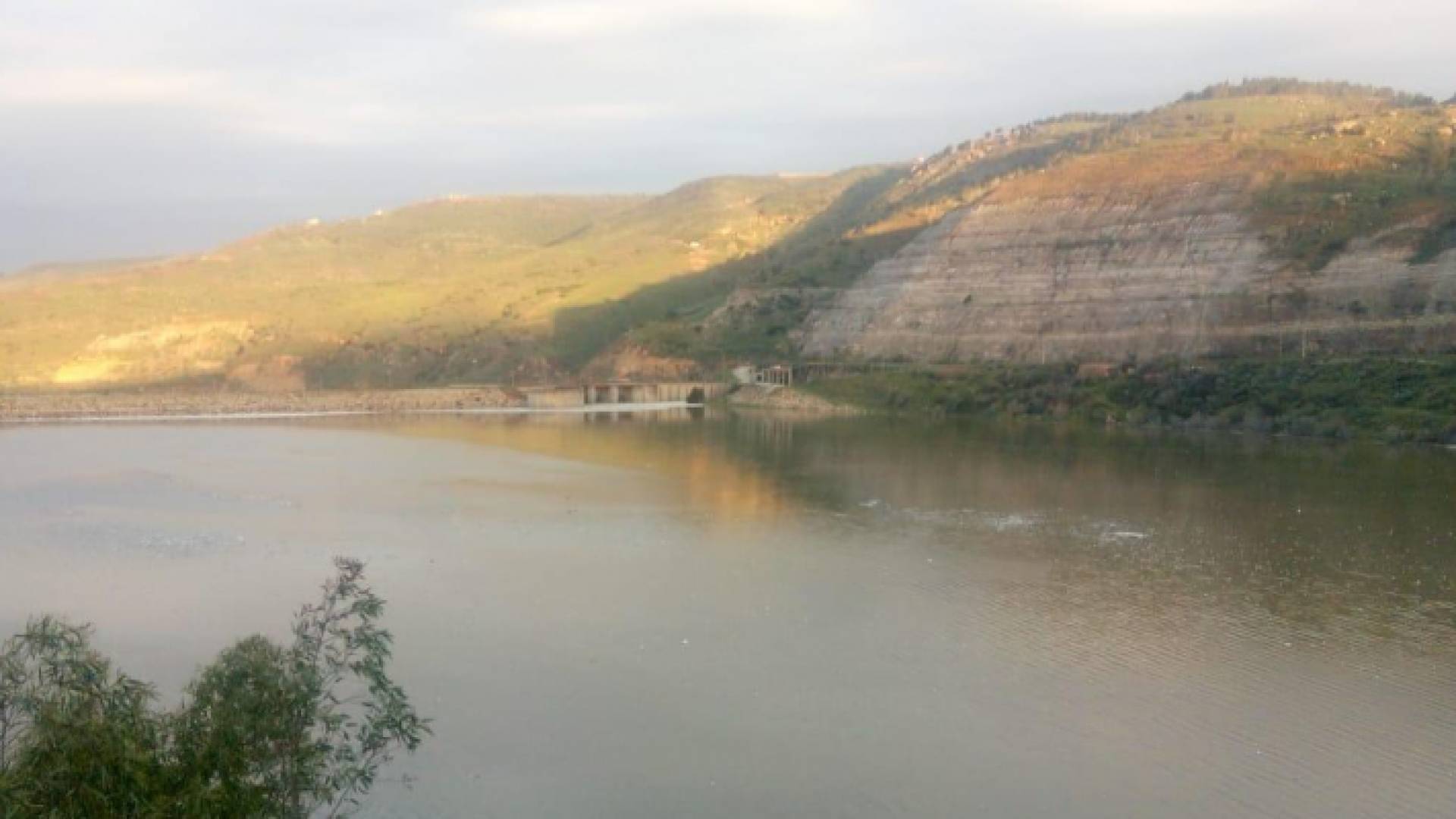 سد الملك طلال صباح الاحد