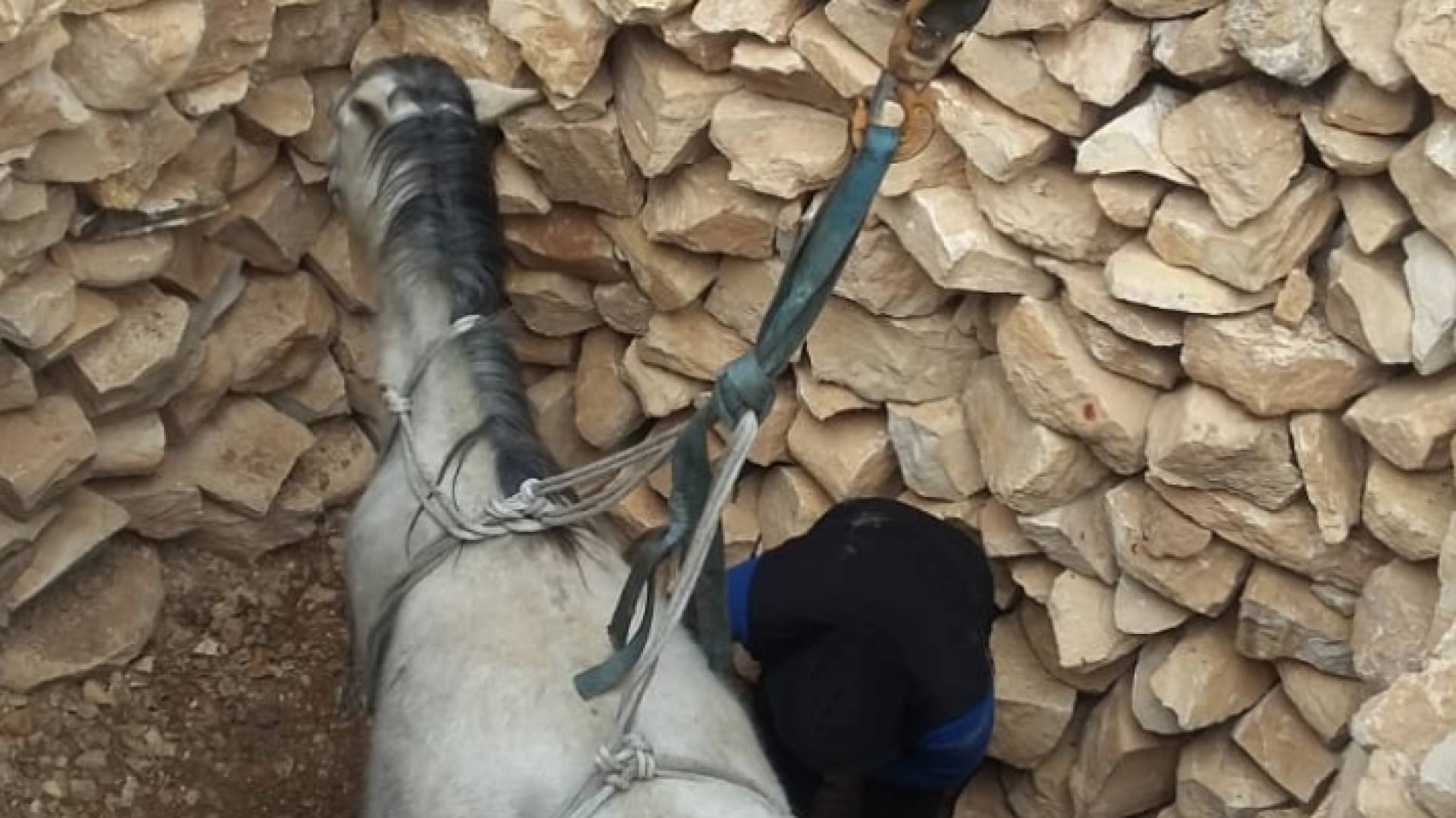 خلال عملية الانقاذ