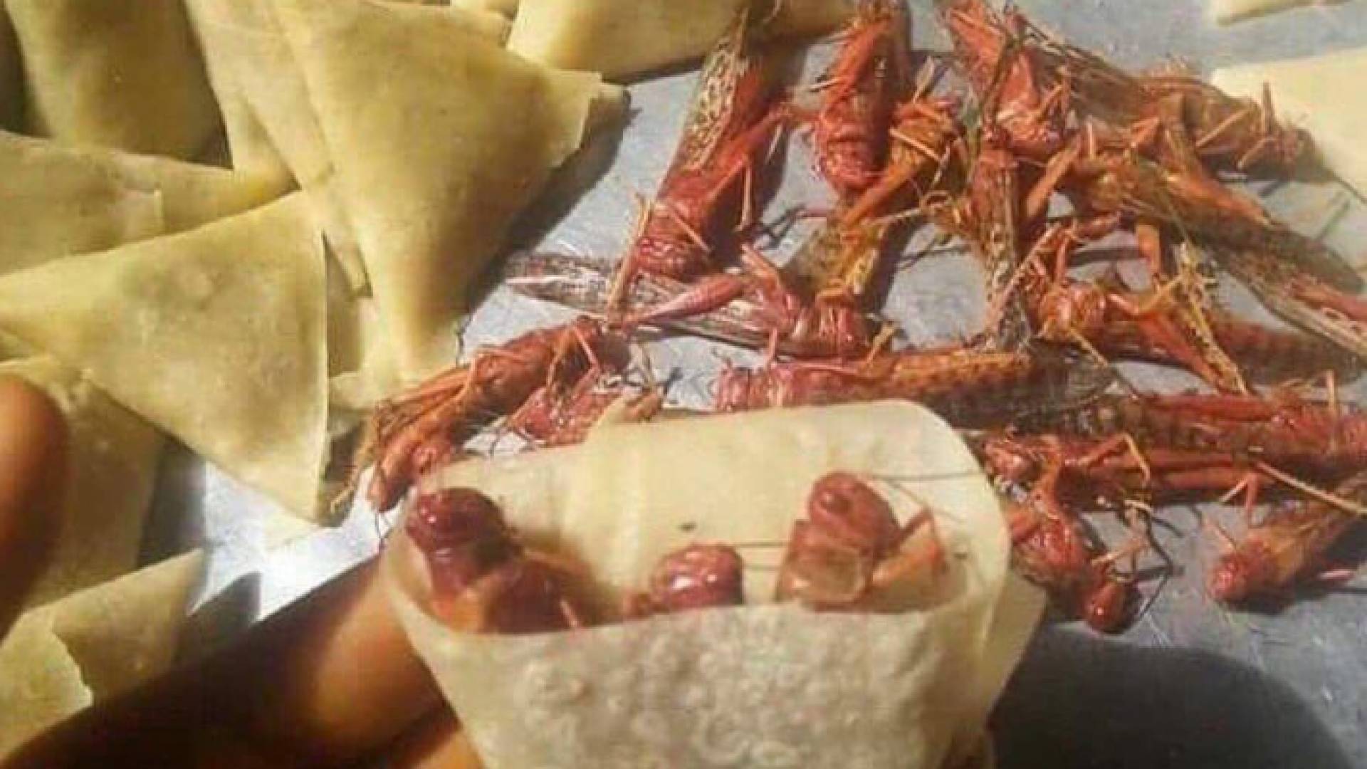 هناك أكثر من طريقة لطهي الجراد