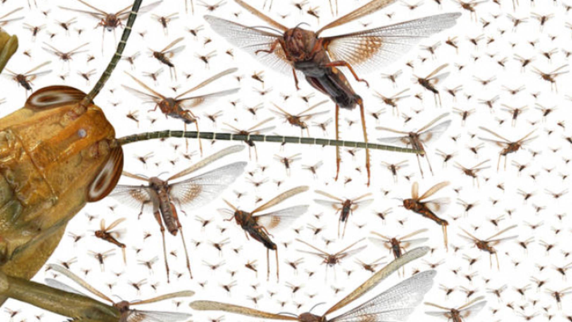 الصورة تعبيرية