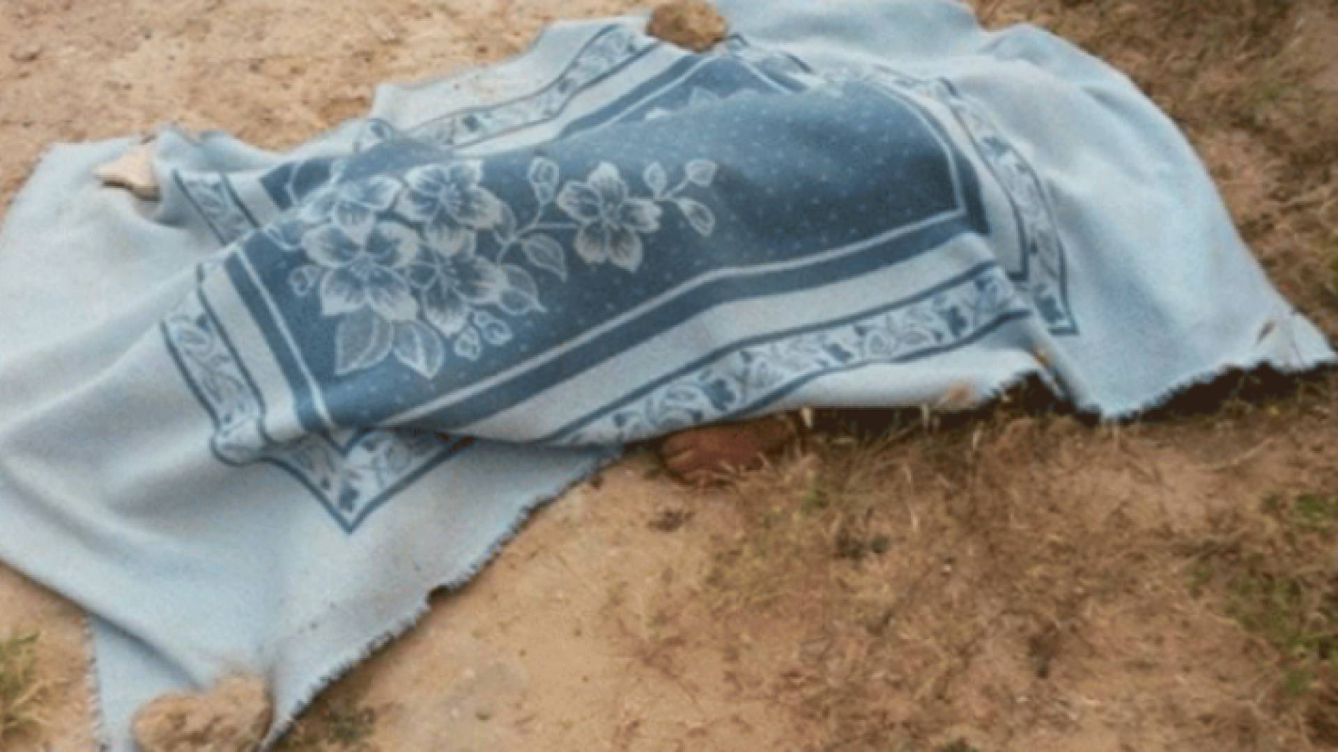 ارشيفية