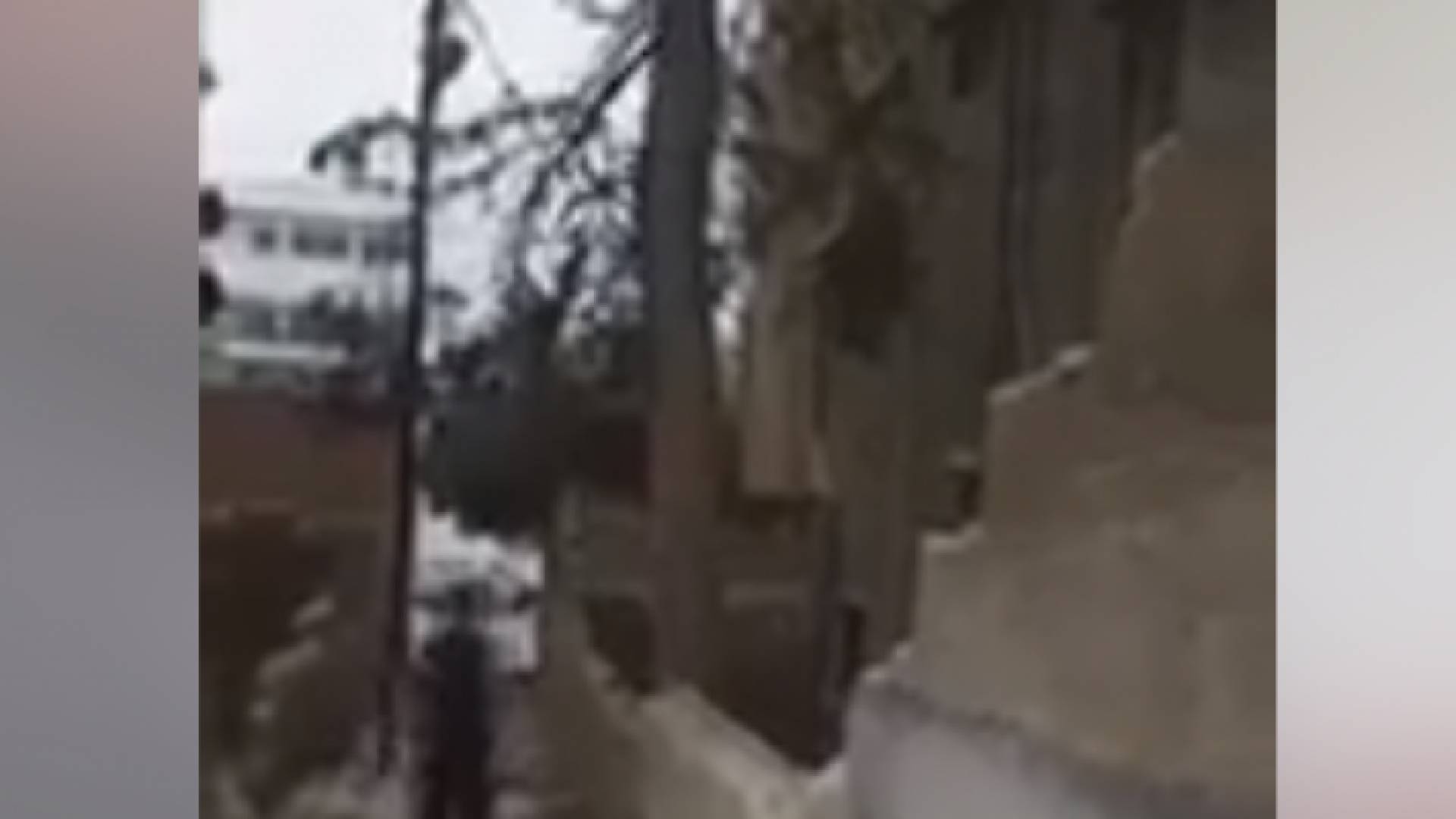 صورة من الفيديو