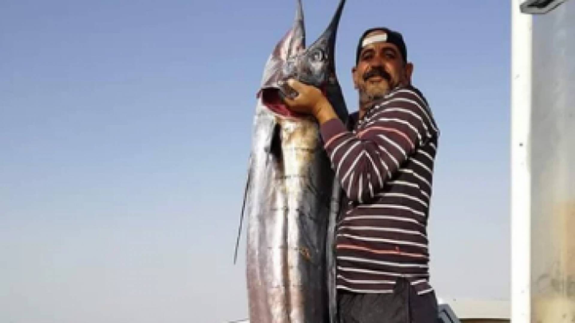 الصياد الجارحي الذي اصطاد السمكة