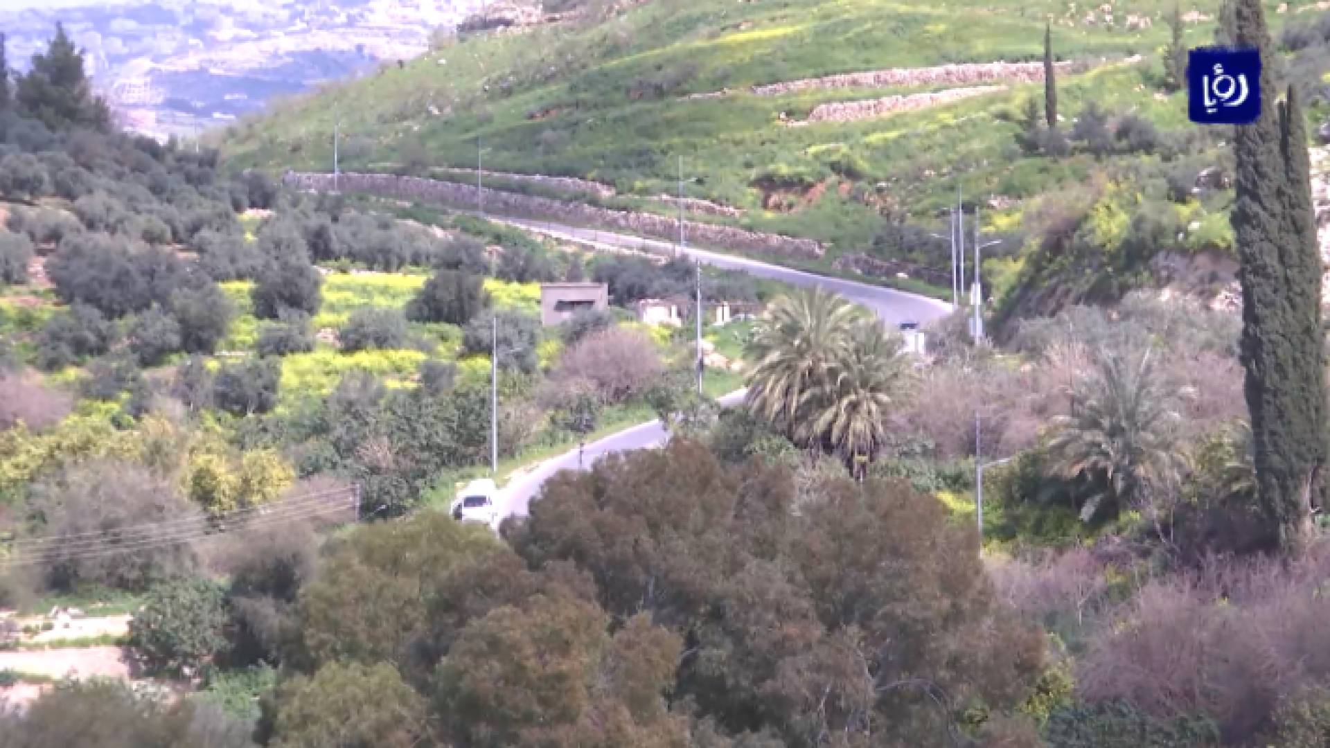 صورة من الفيديو