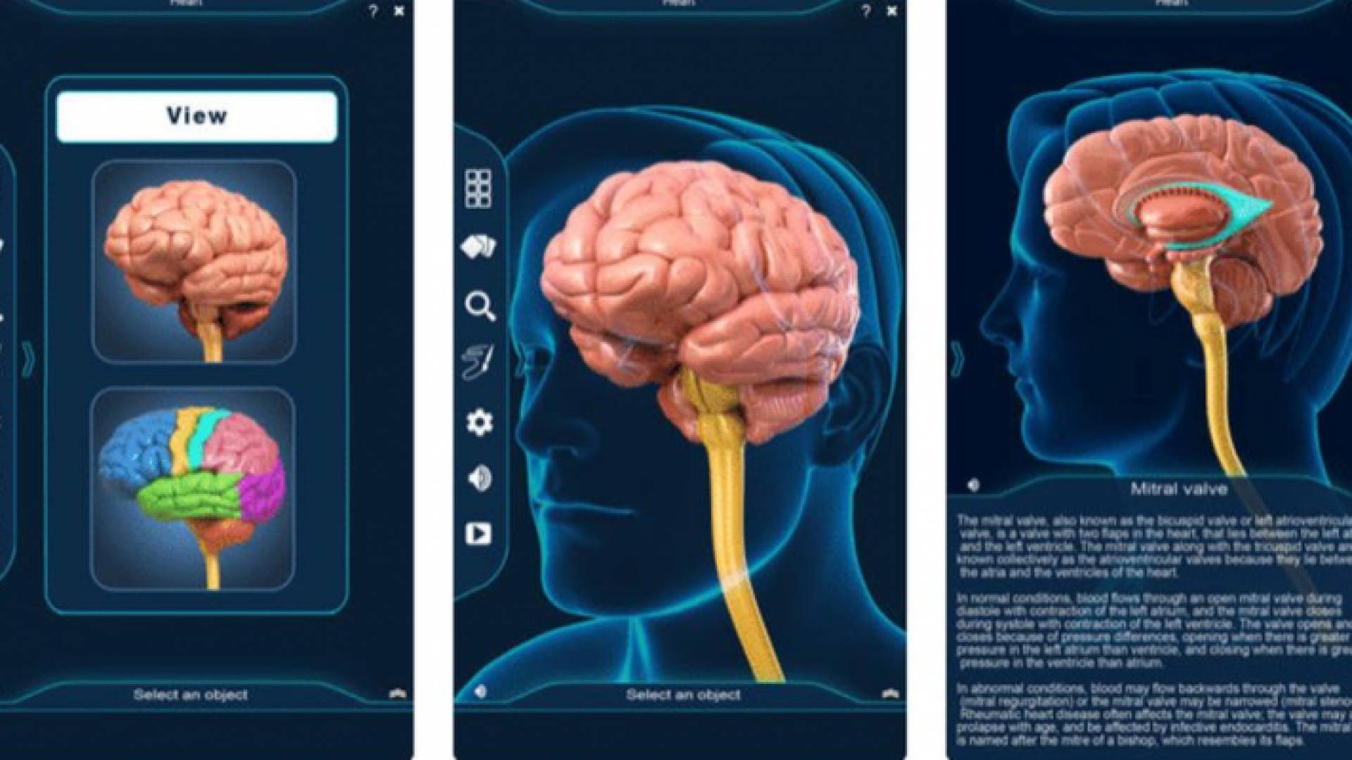 5 تطبيقات مفيدة لأطباء المخ والأعصاب