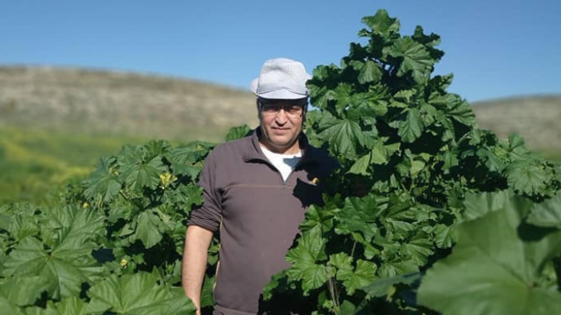 الصورة تداولها ناشطون على مواقع التواصل الاجتماعي