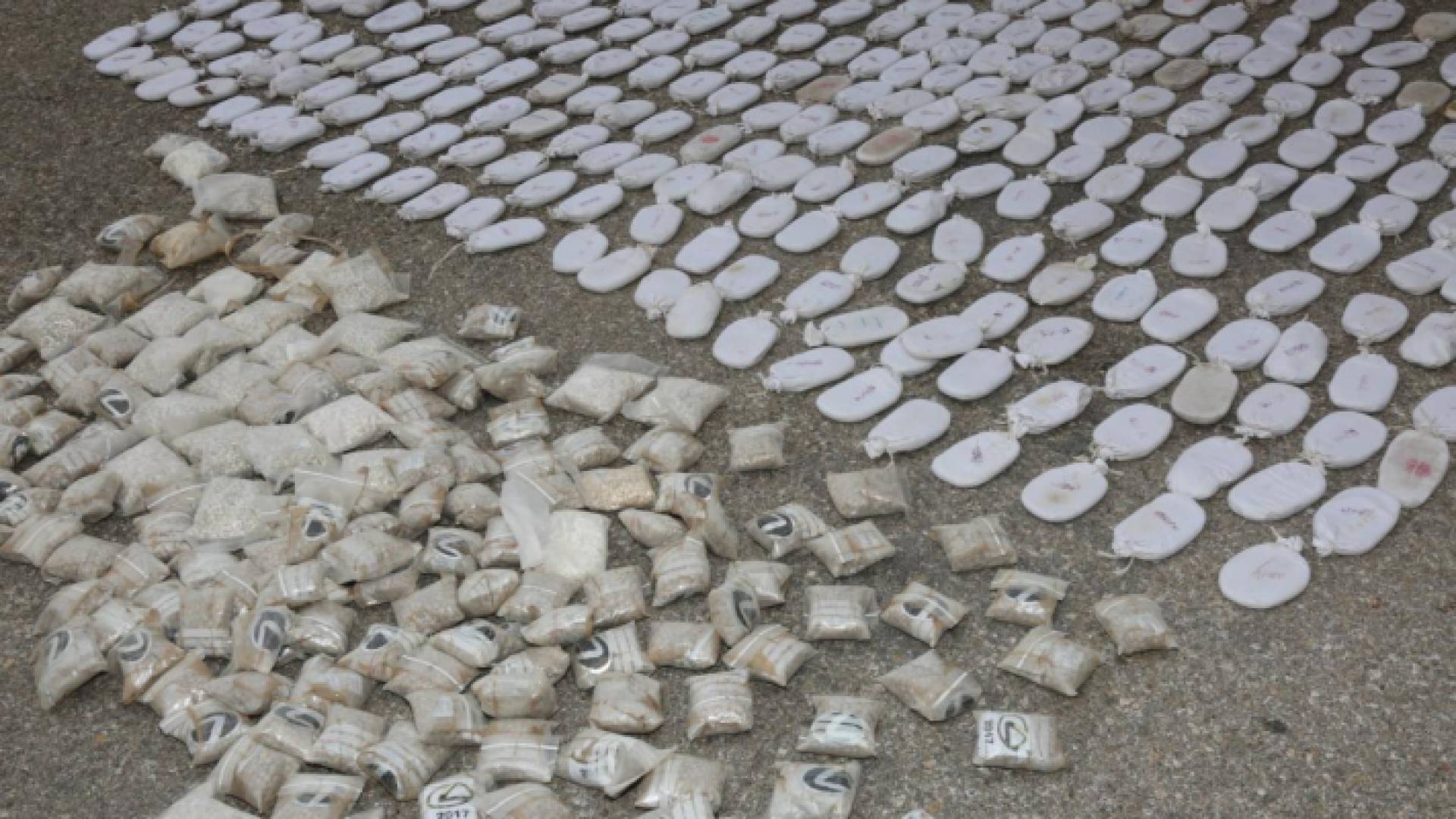 من المضبوطات