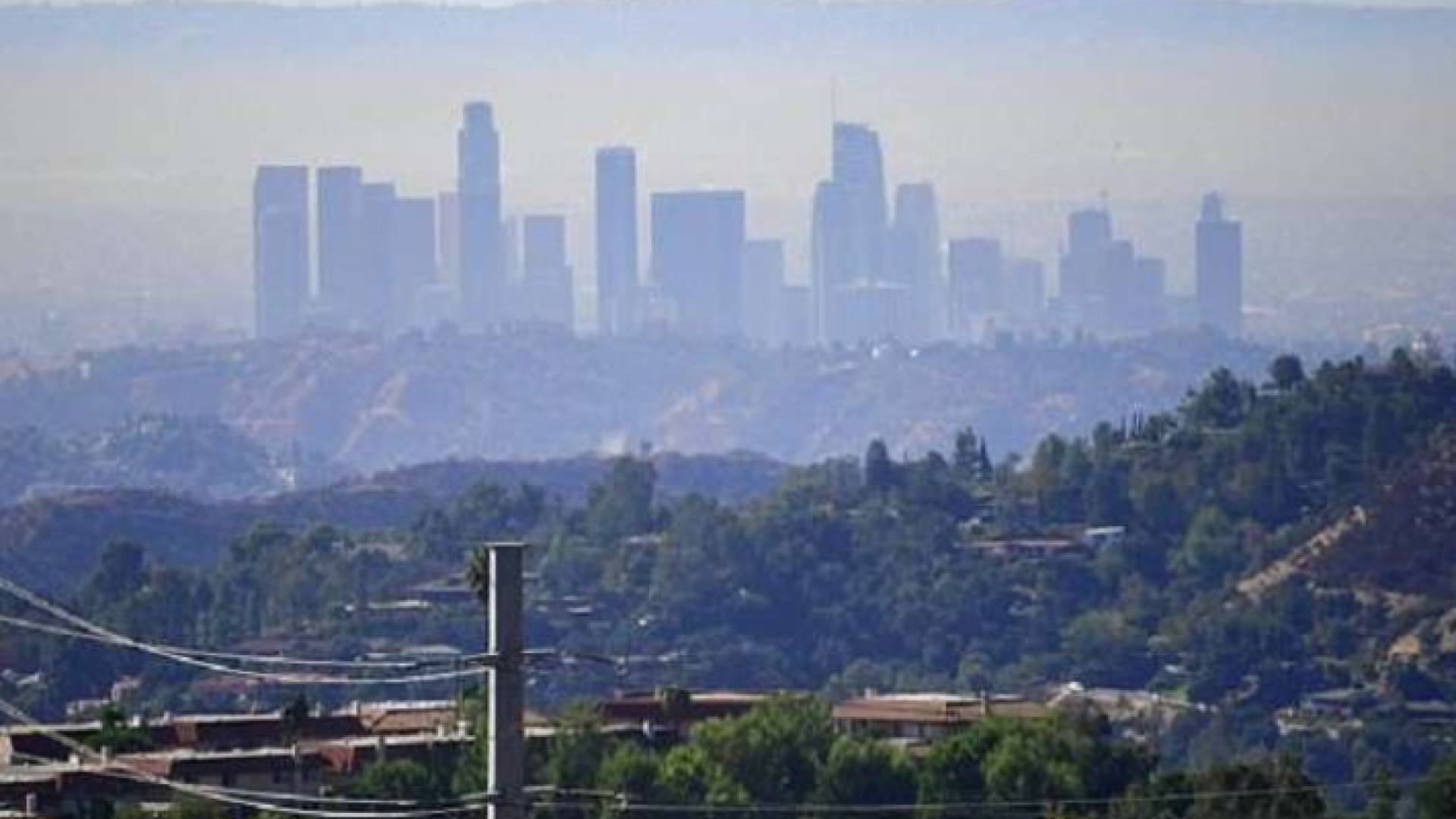 الهواء يتسبب في وفاة ما يصل إلى 8.8 مليون شخص سنويا