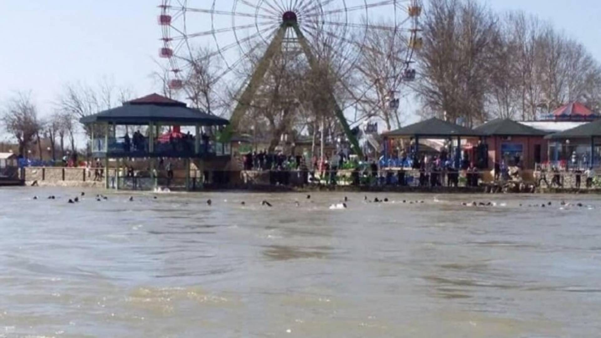 صورة من موقع غرق العبارة