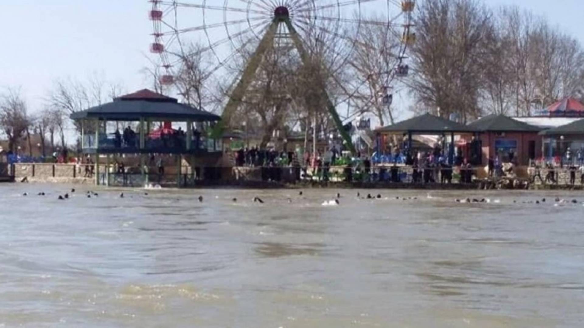 صورة من موقع غرق العبارة