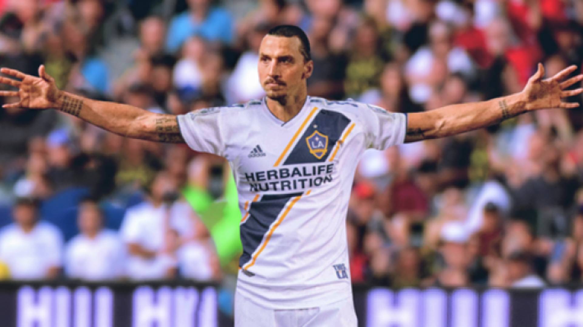 إبراهيموفيتش