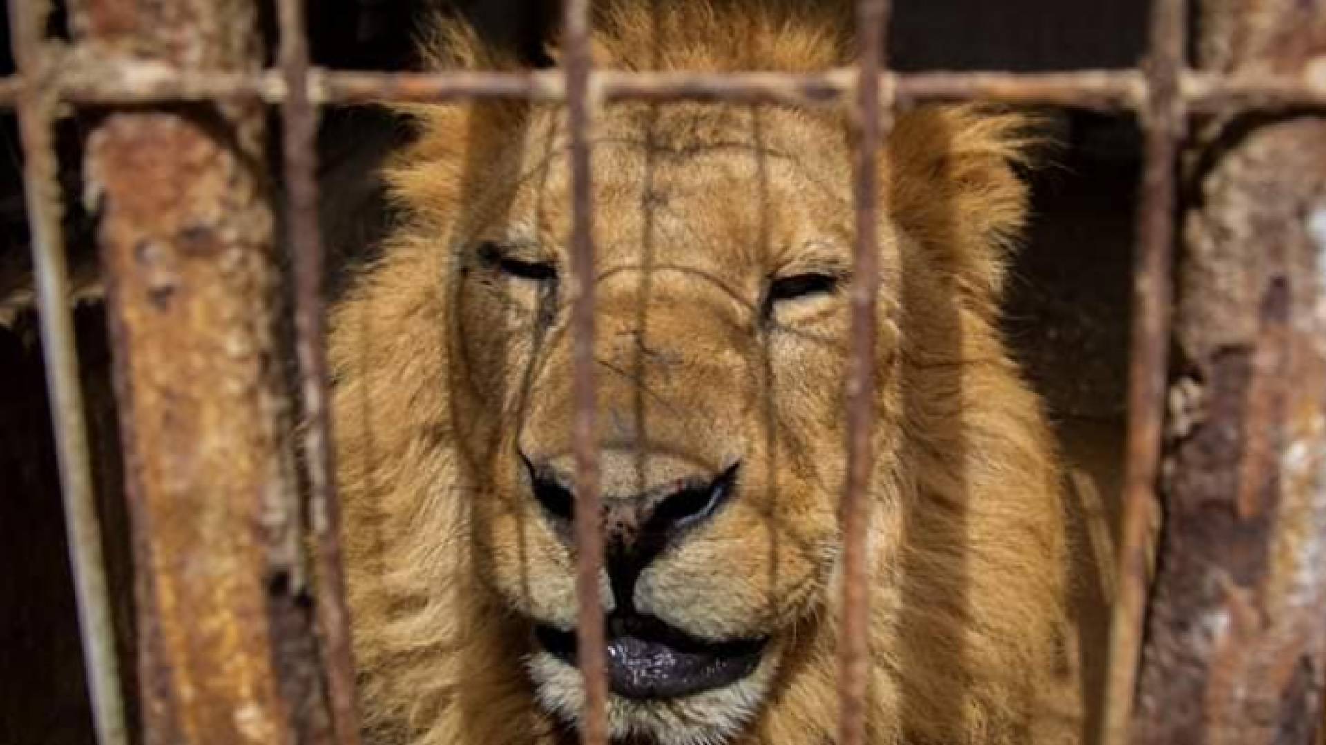 عملية النقل ستتم خلال الاسبوع الحالي