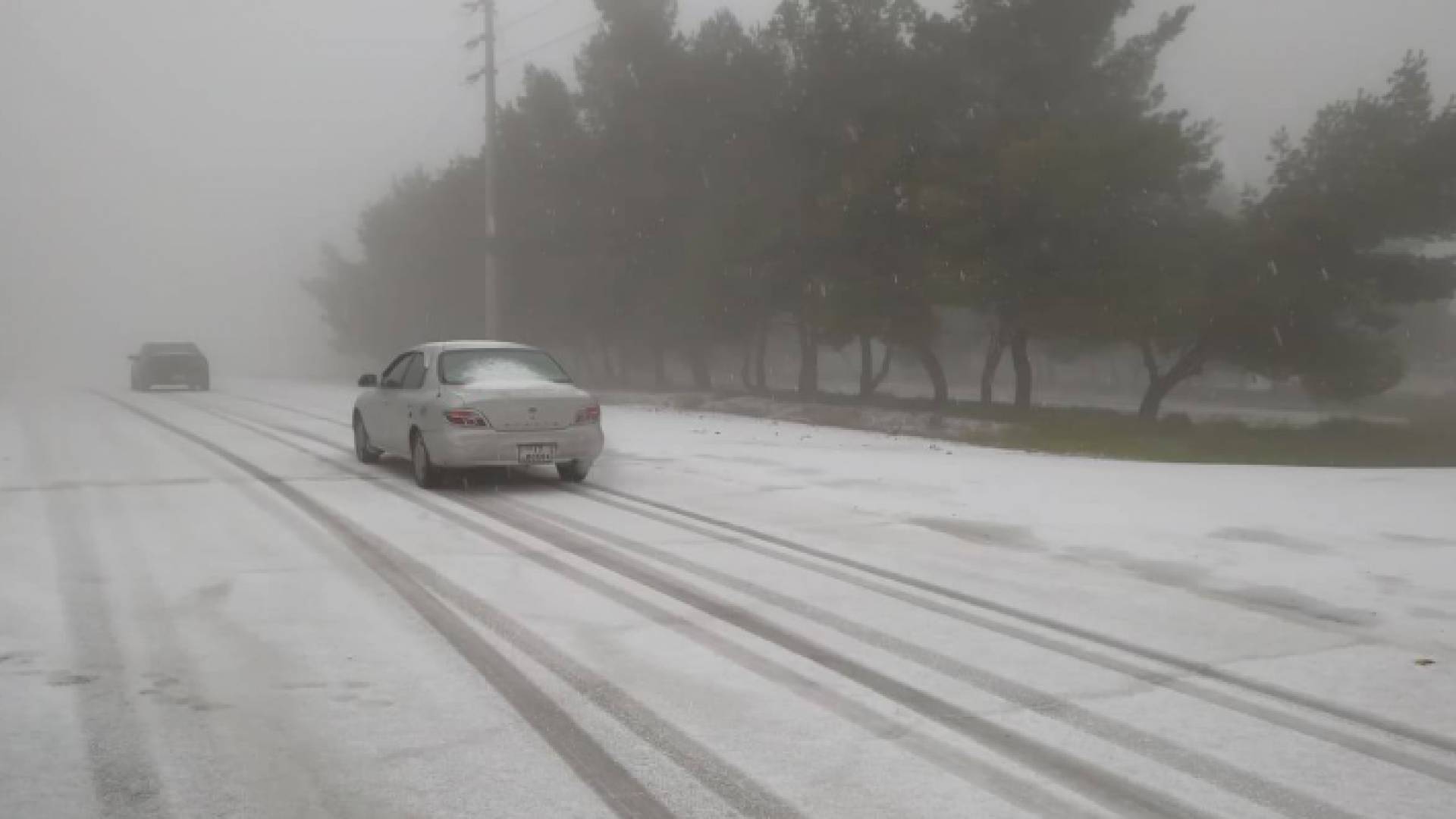 من منطقة الرشادية