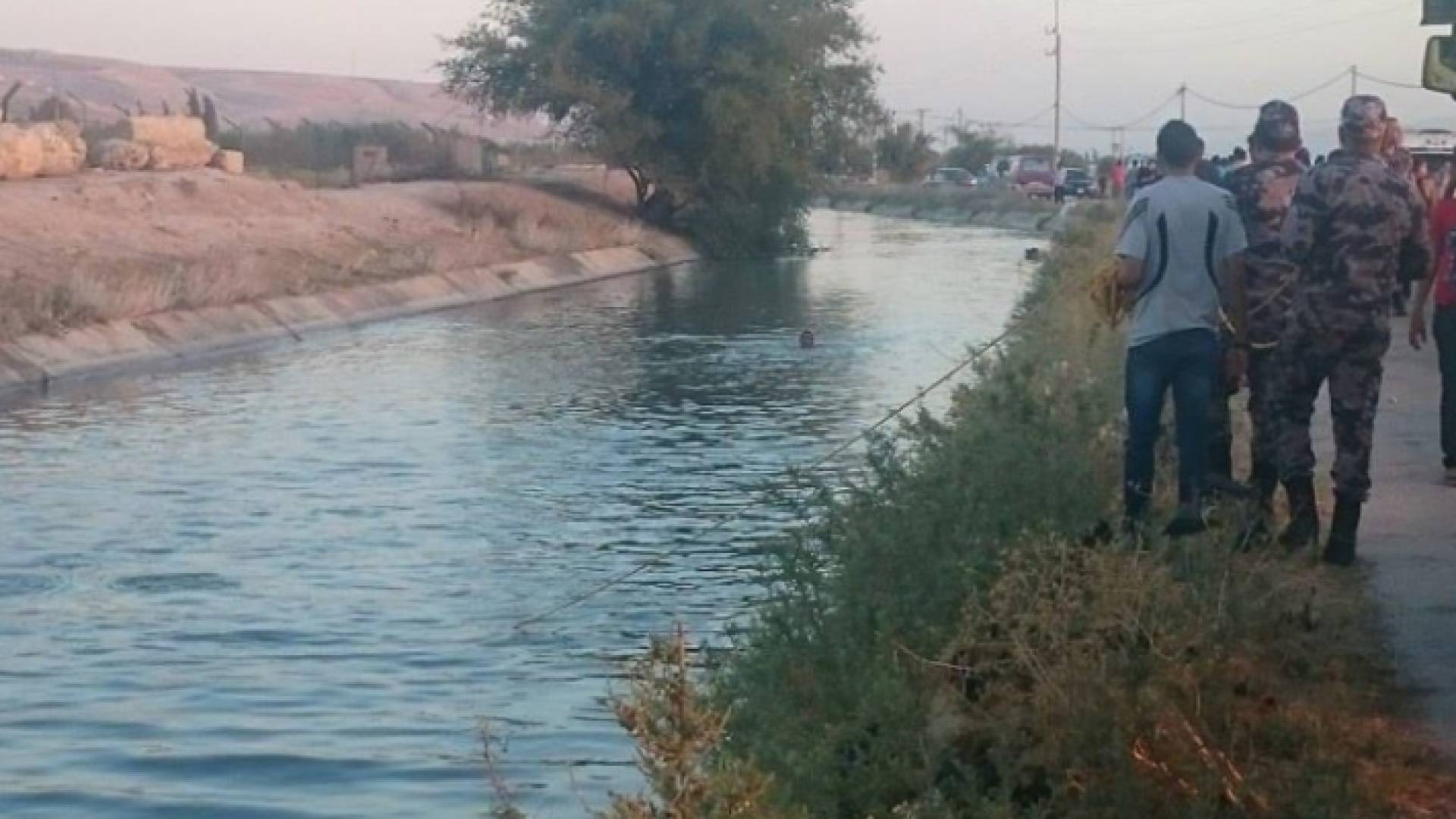 ارشيفية