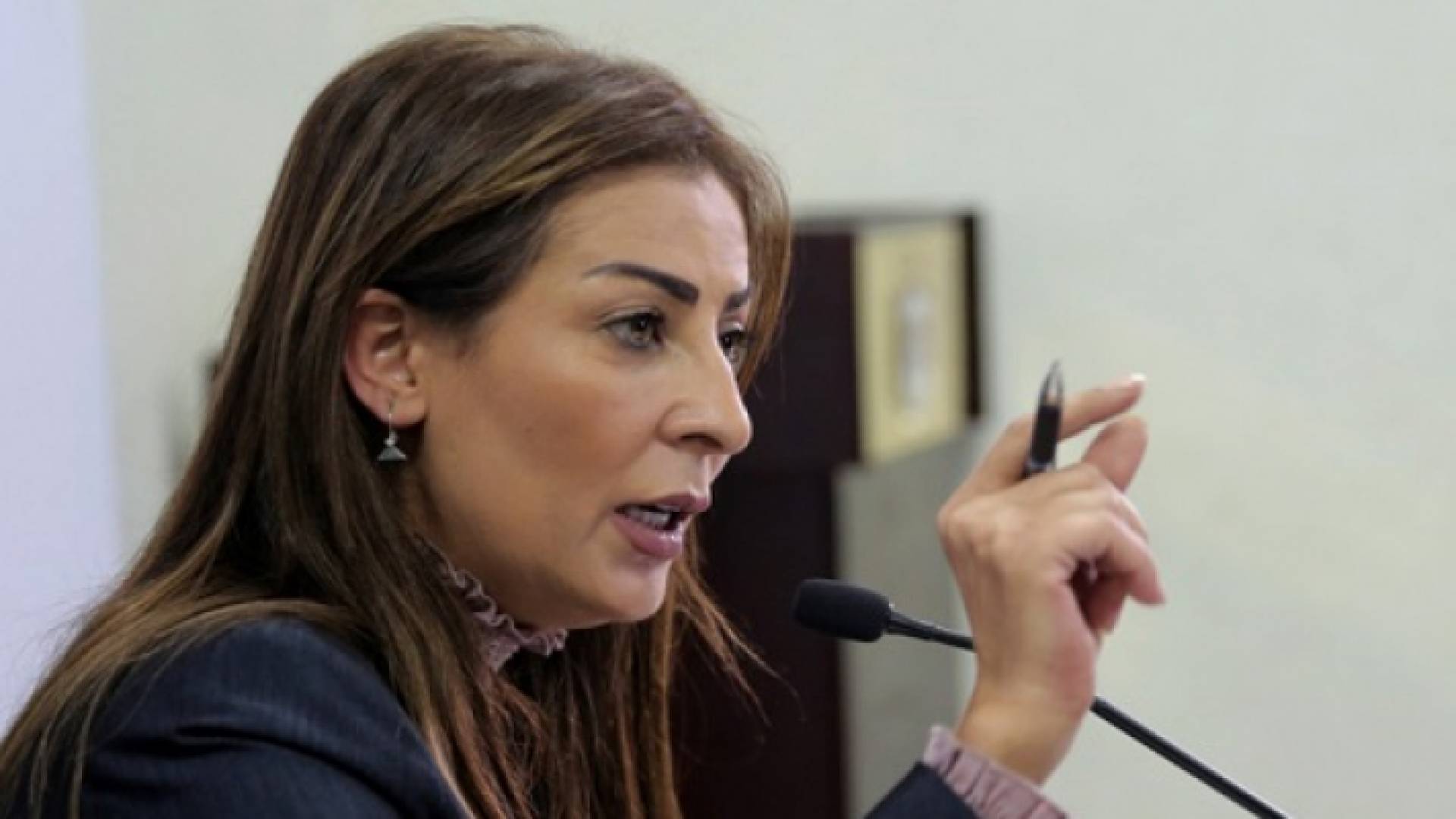 وزير الدولة لشؤون الإعلام الناطق الرسمي باسم الحكومة جمانة غنيمات