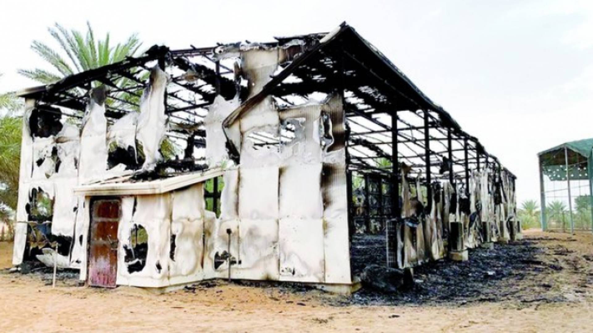 يوجد طير واحد منها يتجاوز 10 ملايين درهم