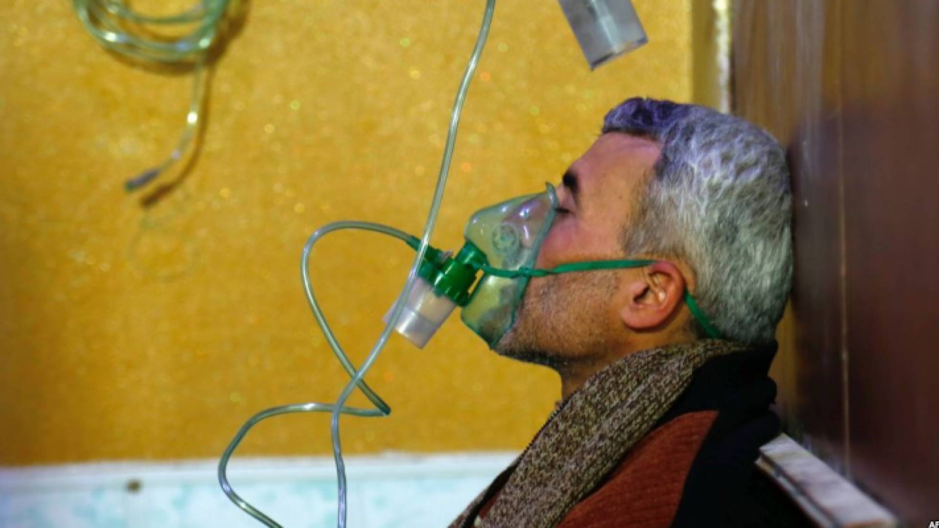 ارشيفية