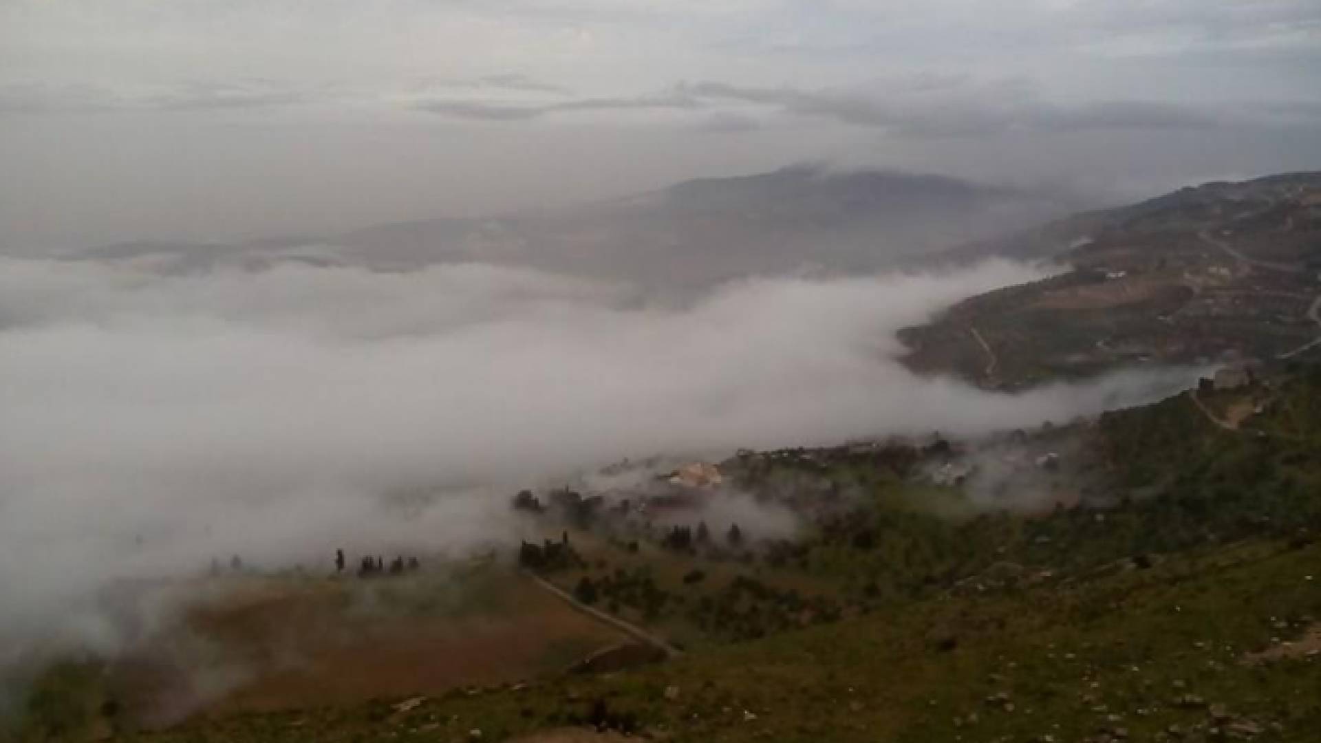 ارضيفية من جبال السلط