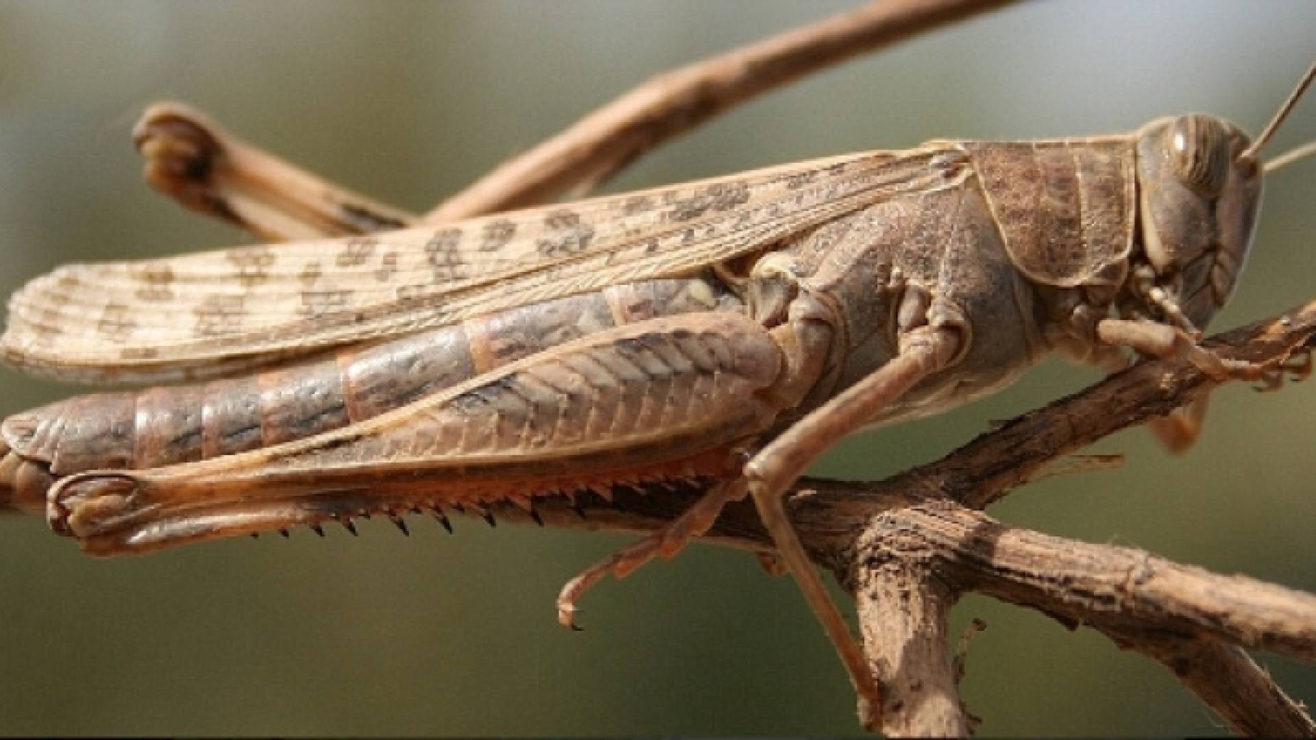 الصورة أرشيفية