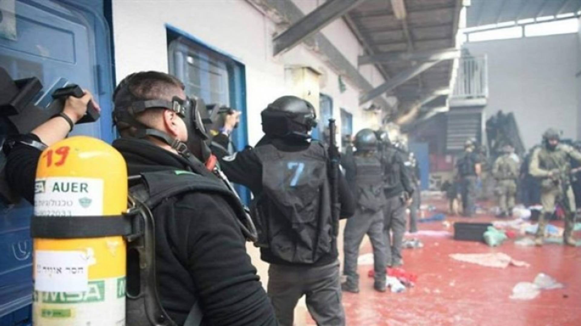 ارشيفية