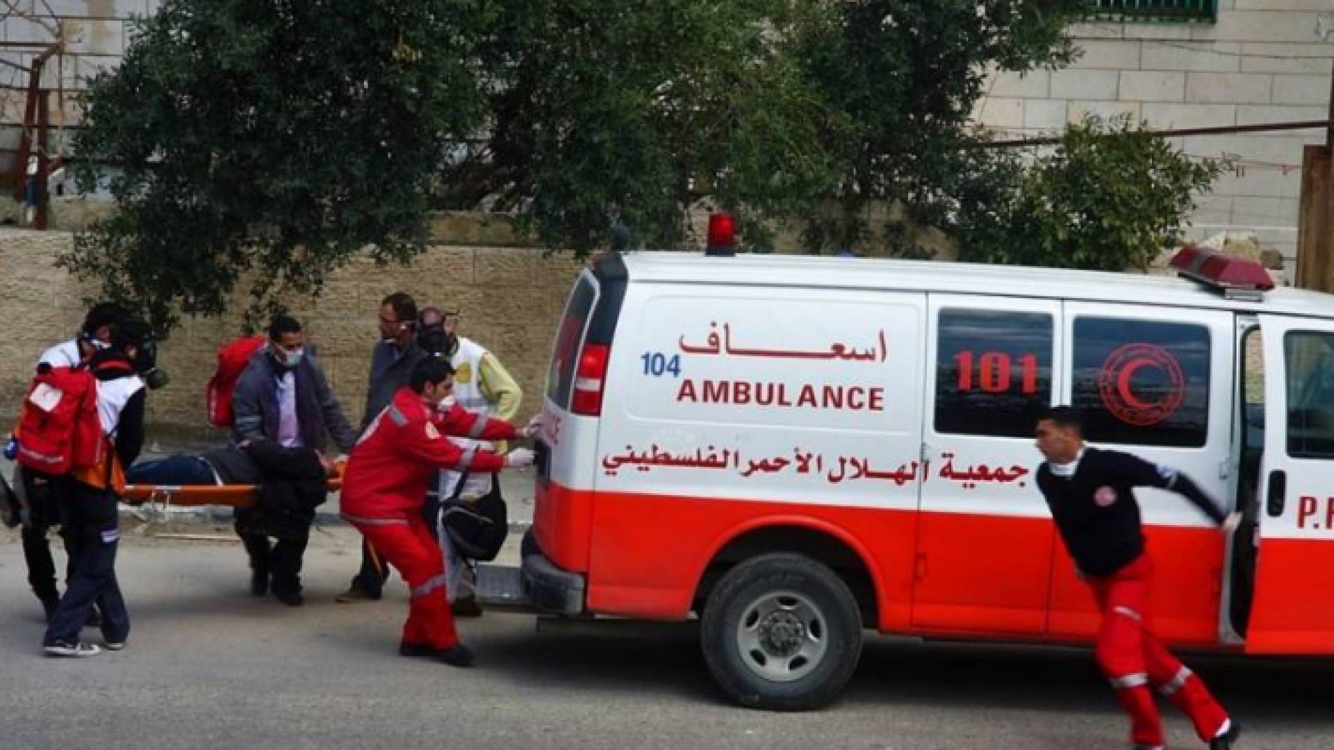 ارشيفية