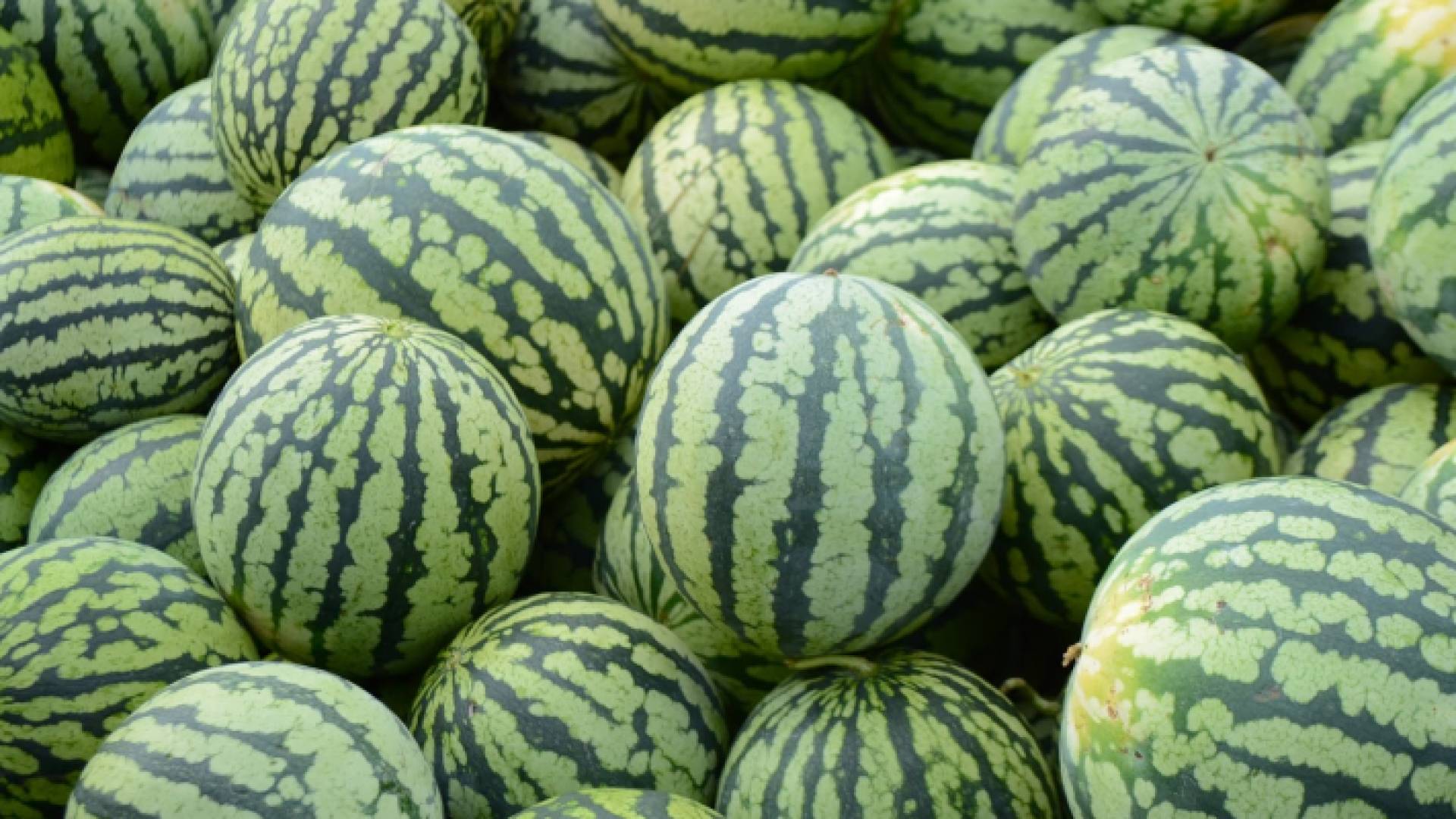 وصل الأمانة 206 طلبا ووافقت على 8 منها