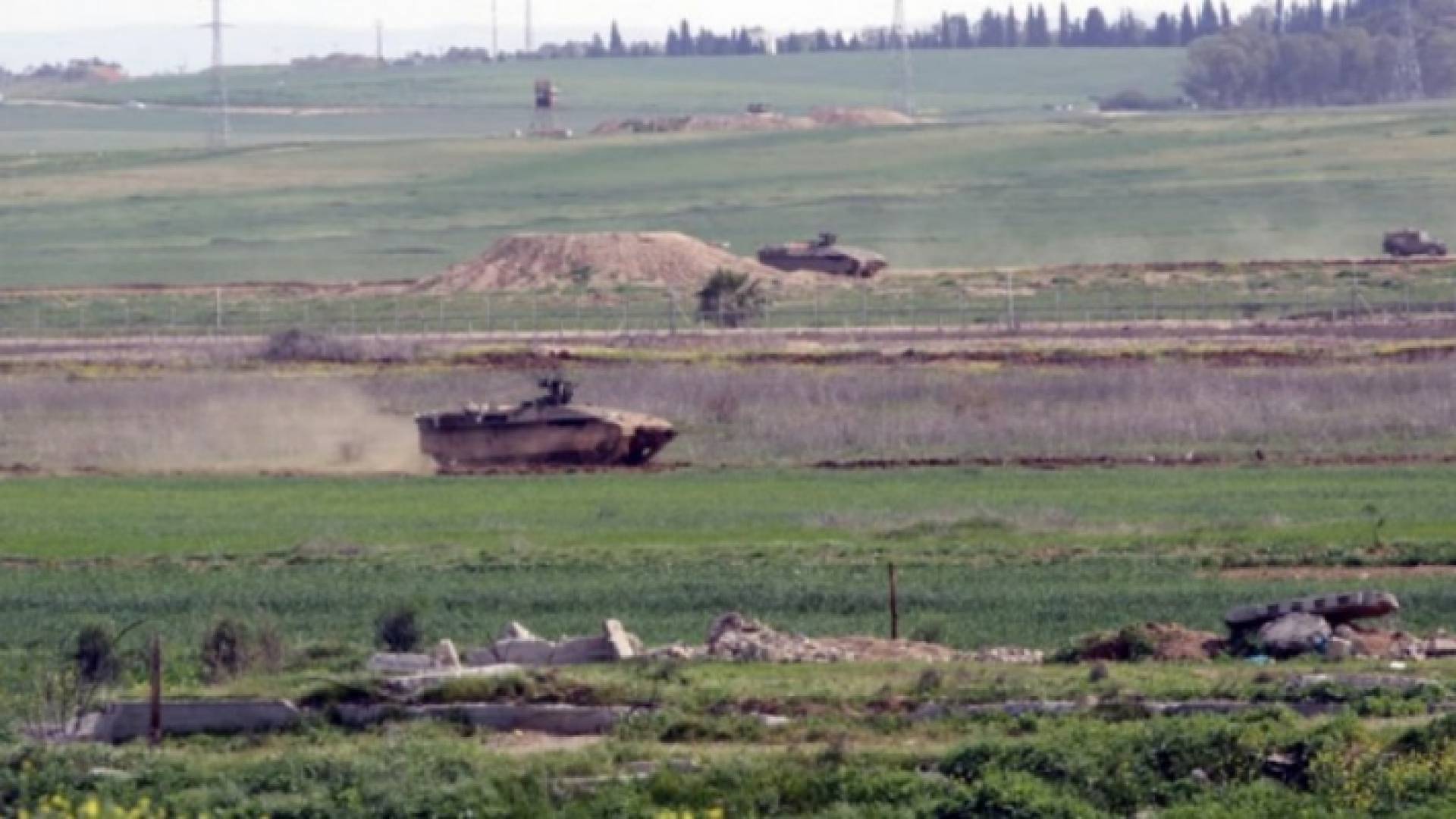 ارشيفية