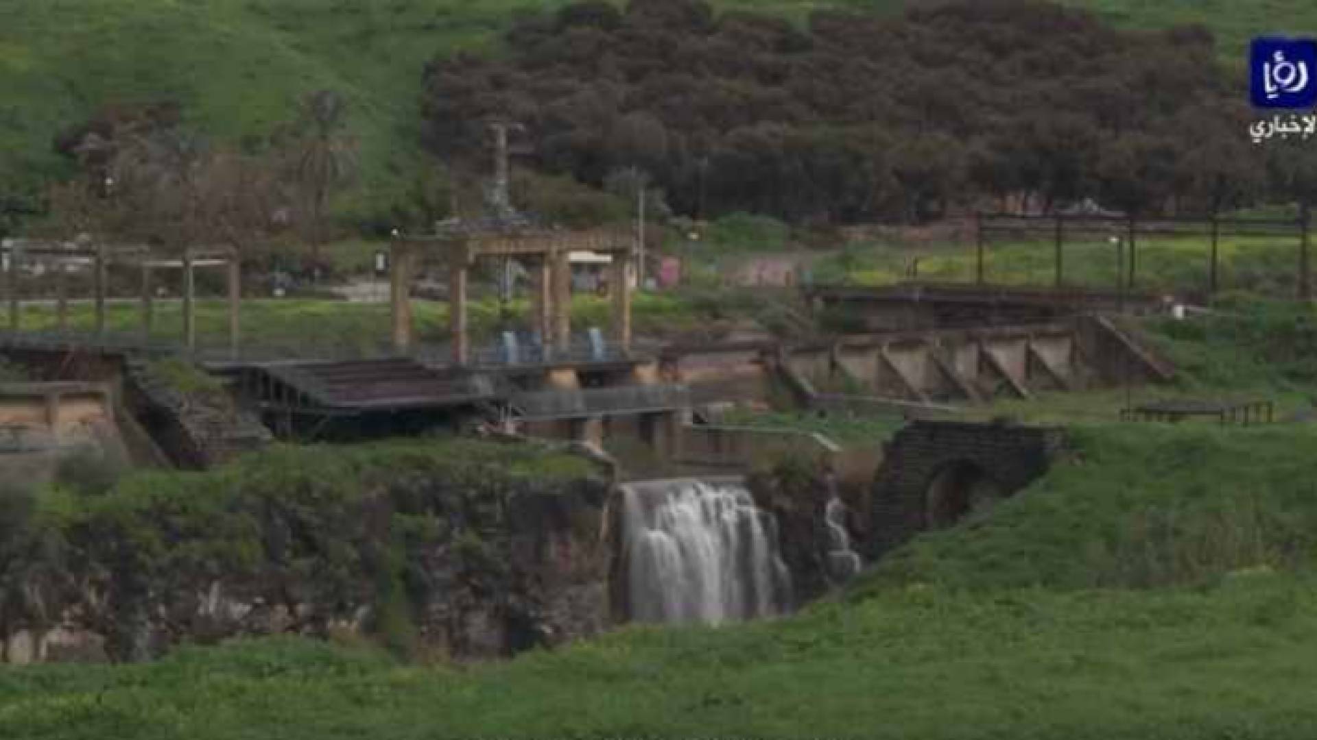 الباقورة - رؤيا