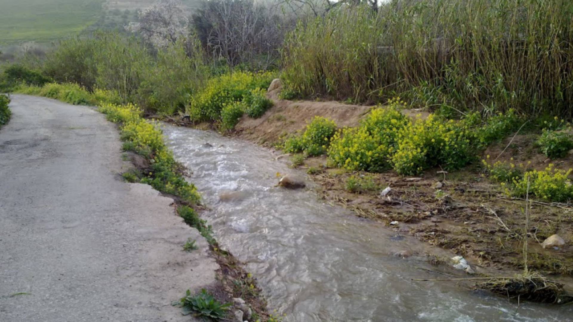 وادي الريان