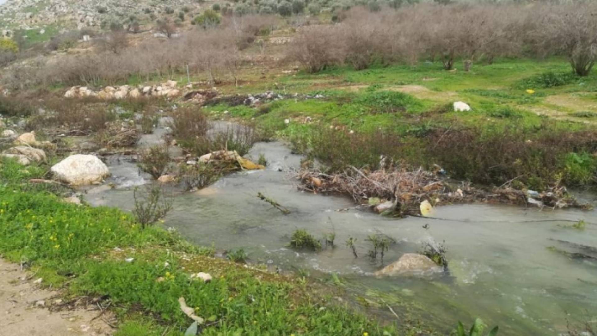 وادي الريان